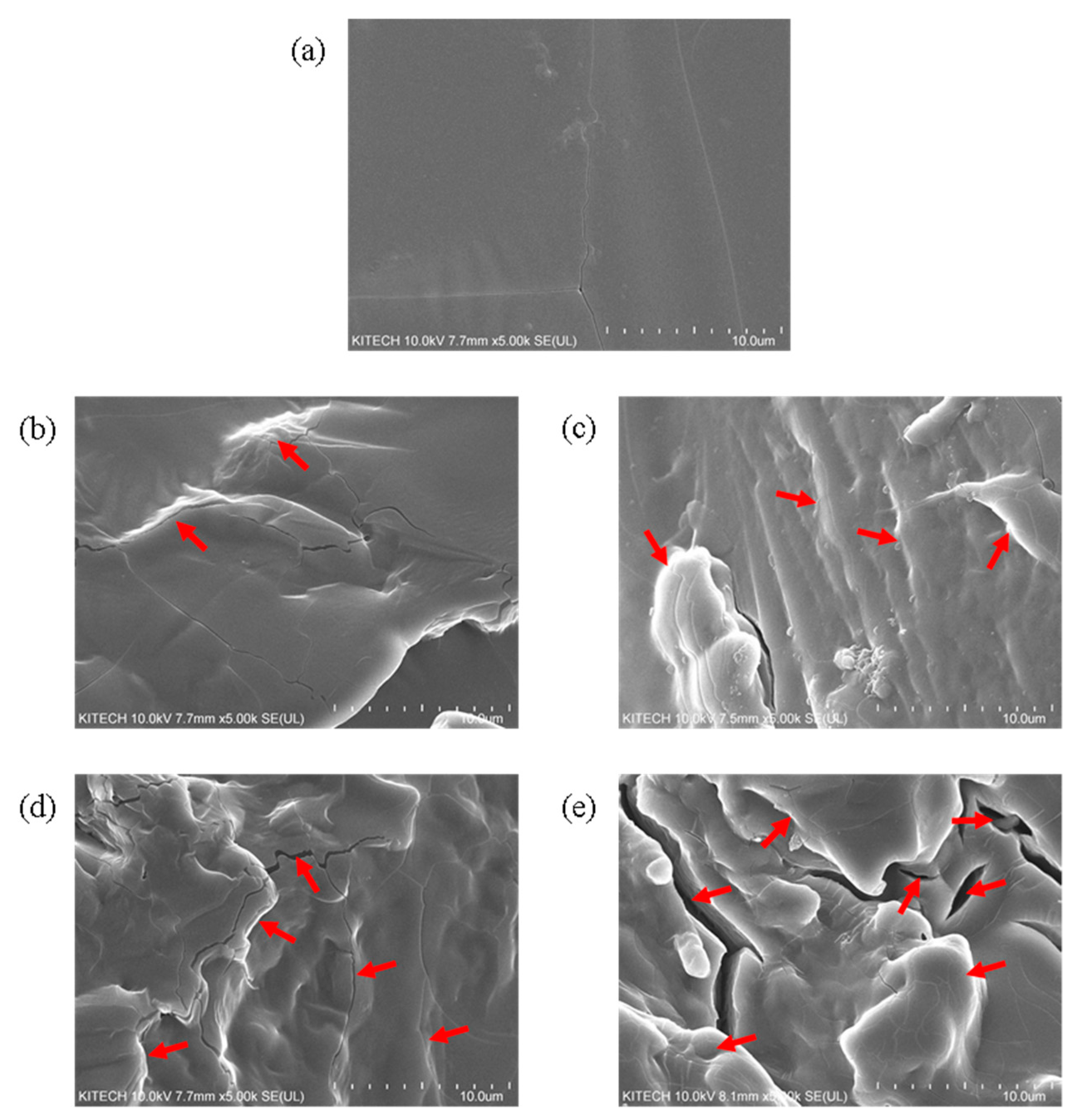 Polymers 13 02782 g007 550