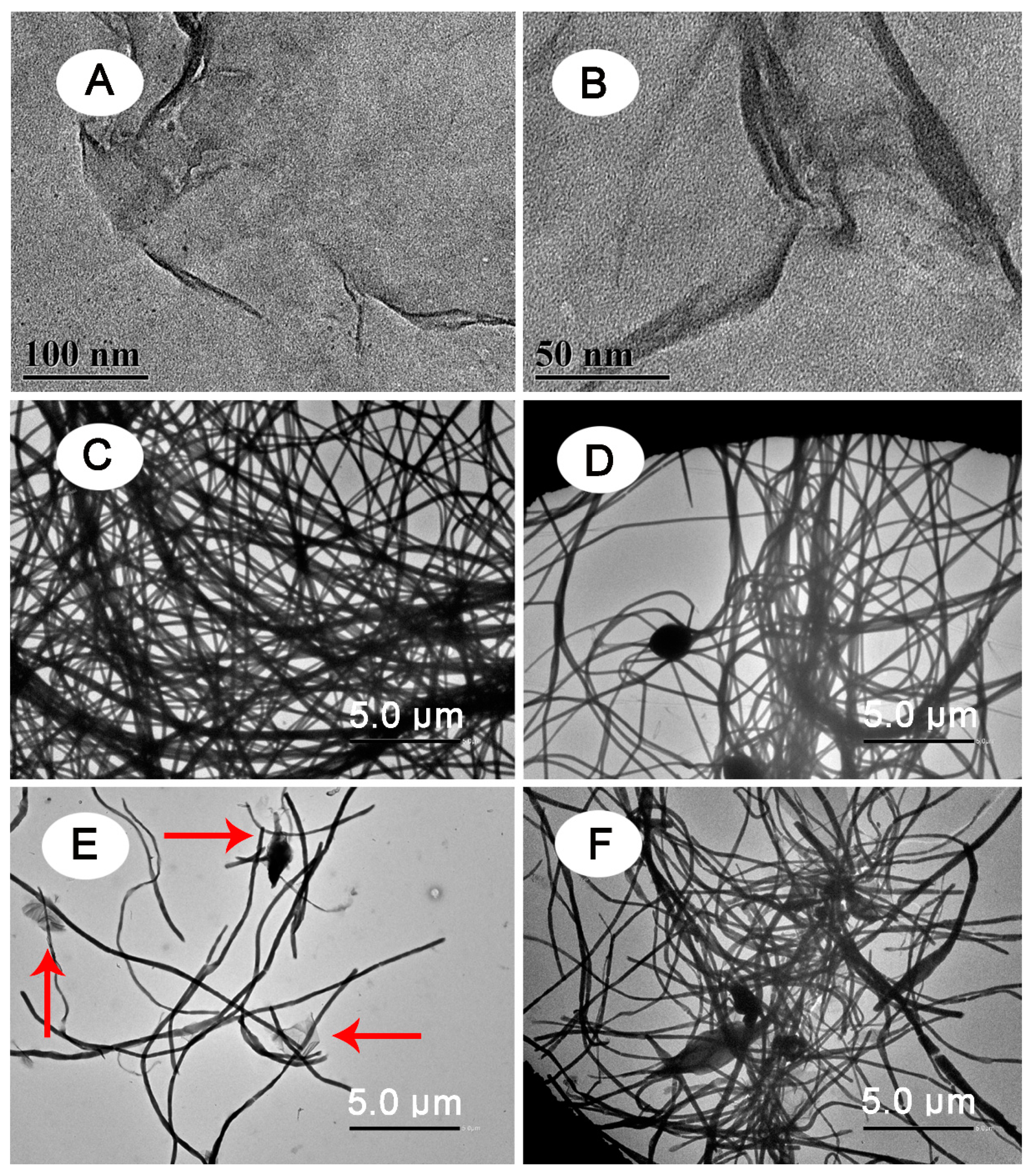 Polymers 13 02784 g003 Polymers 13 02784 g003