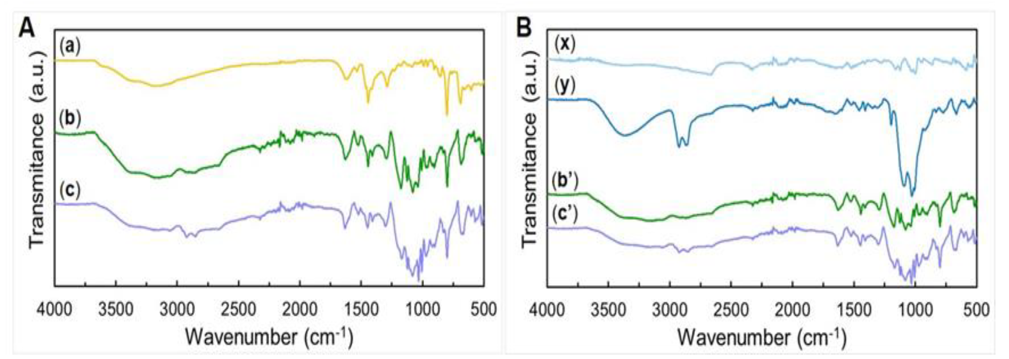 Polymers 13 02786 g002