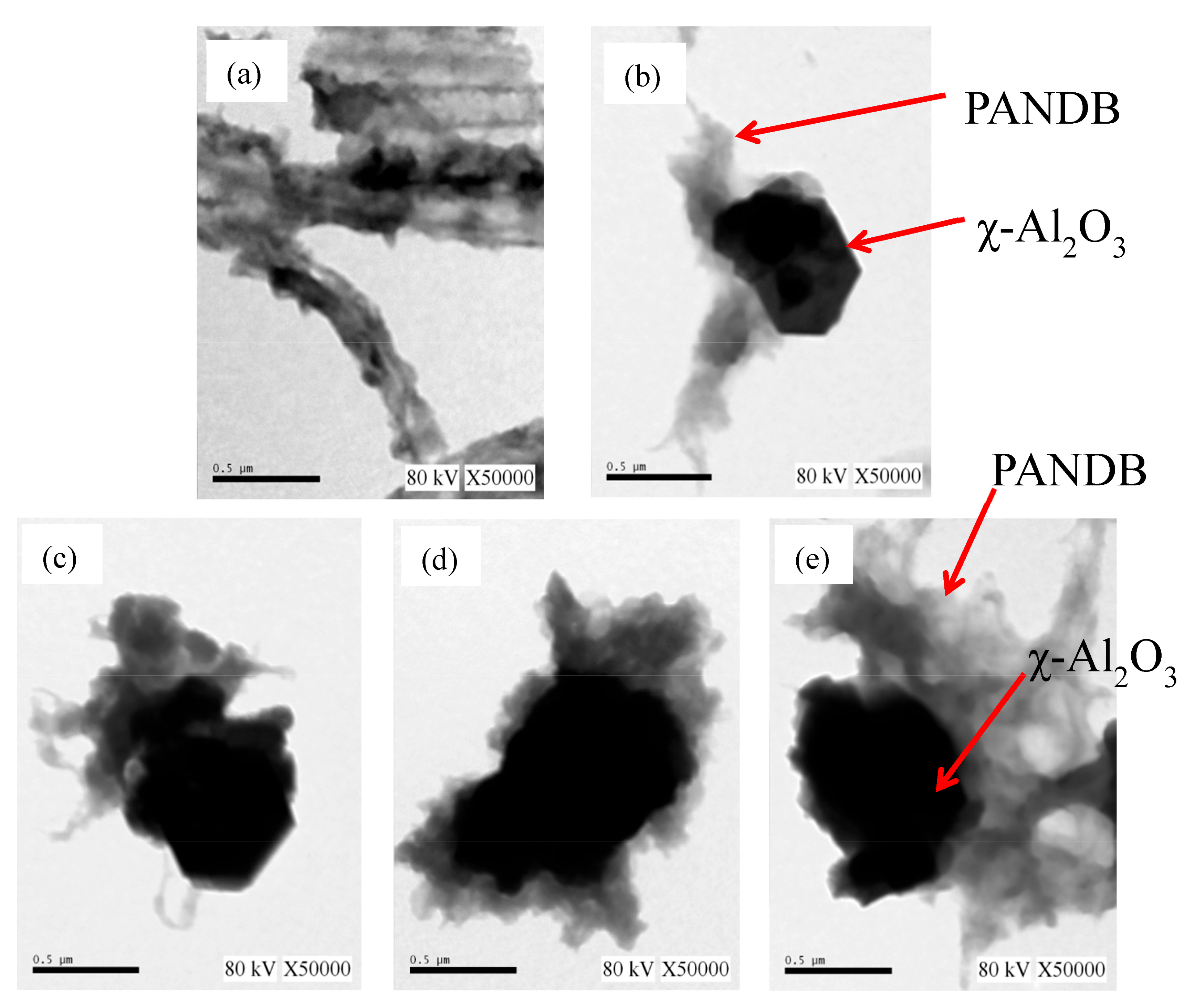 Polymers 13 02787 g004