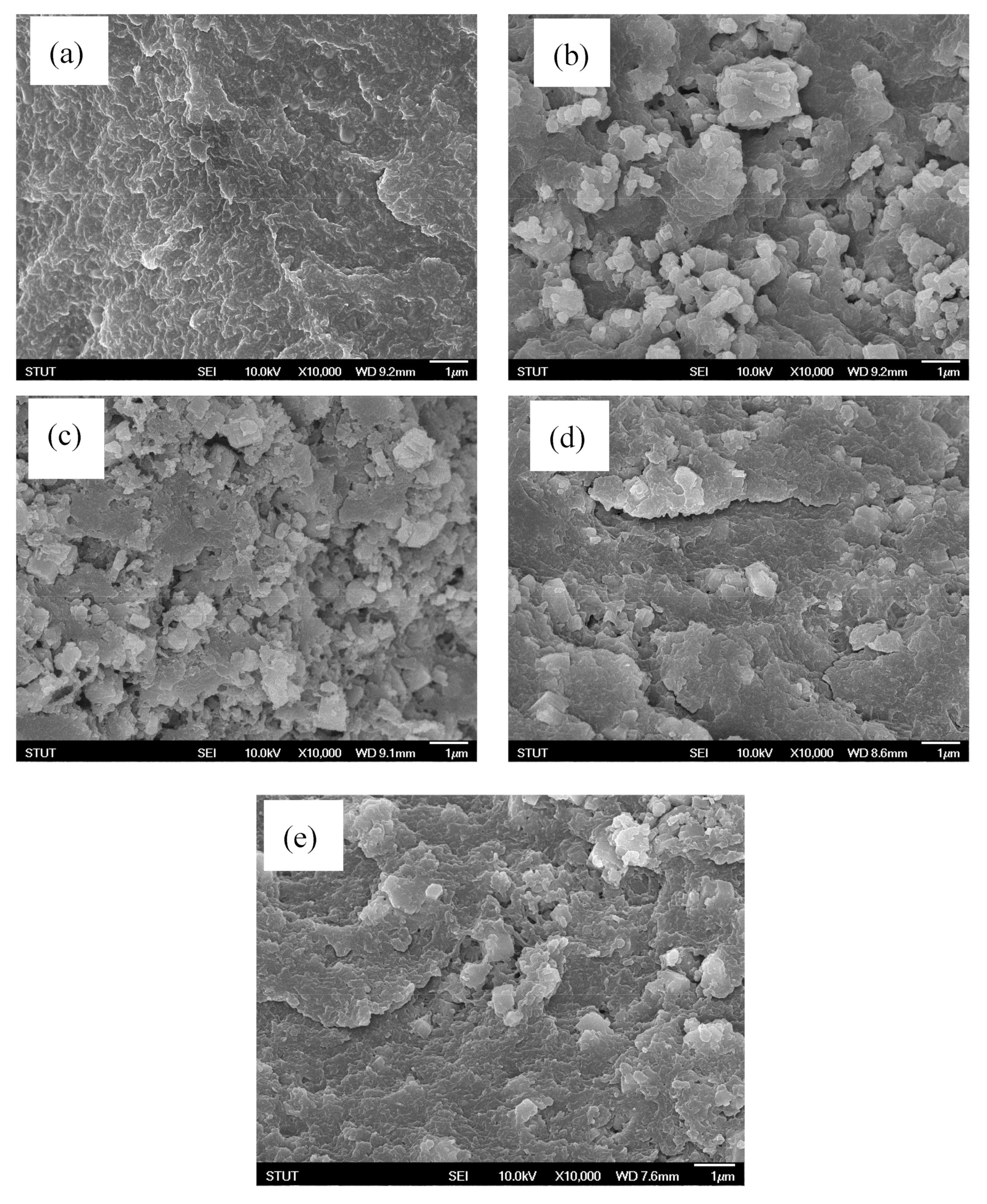 Polymers 13 02787 g005