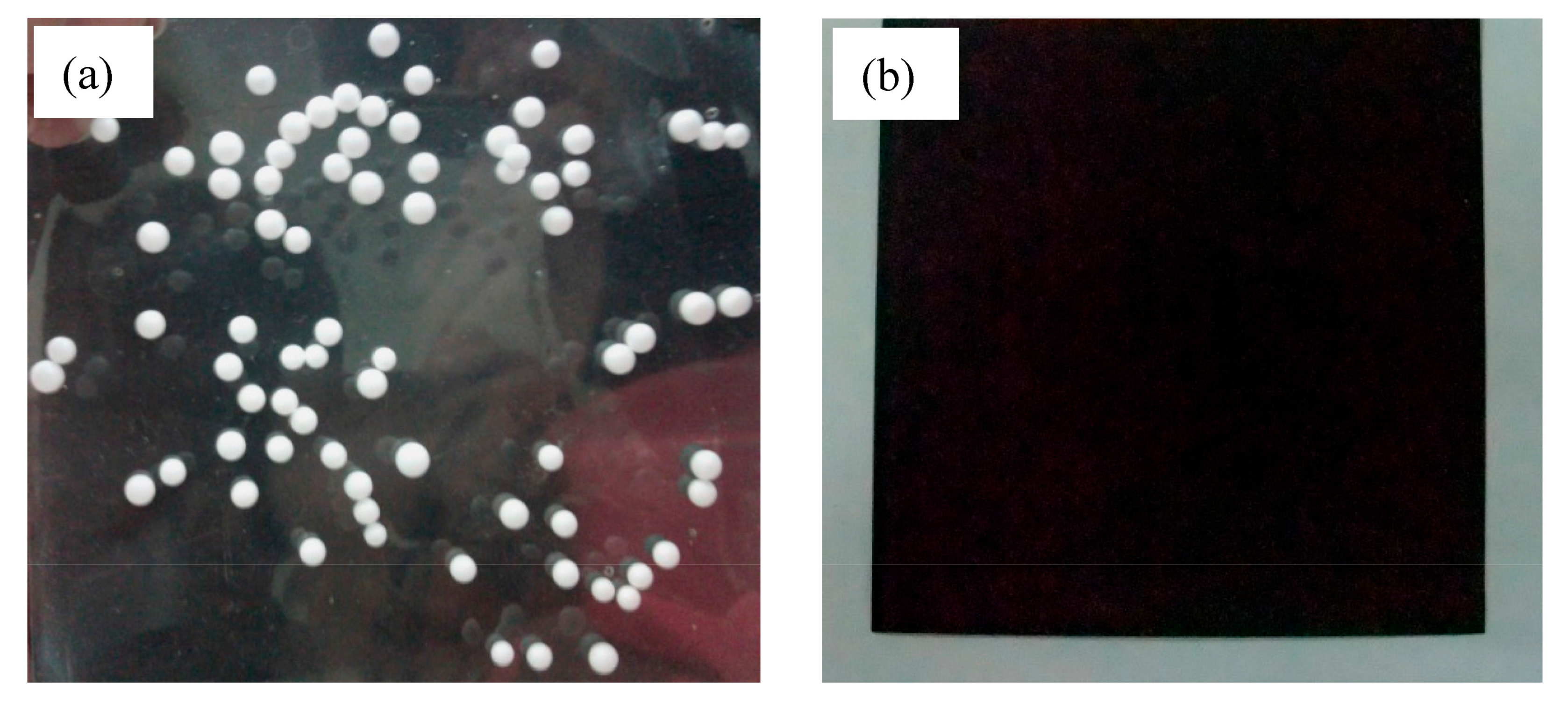 Polymers 13 02787 g006