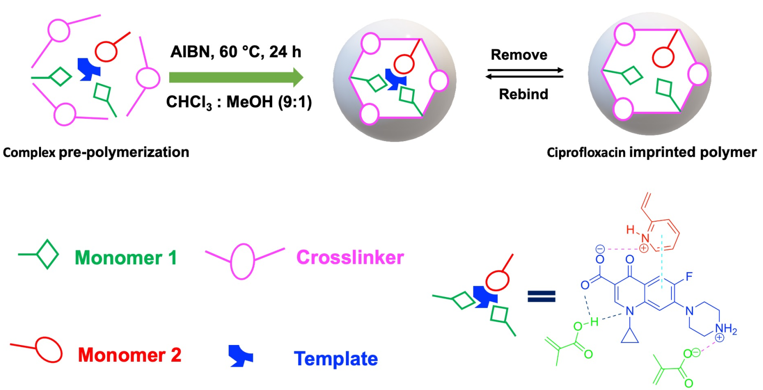 Polymers Free FullText Synergetic Effect of Dual Functional