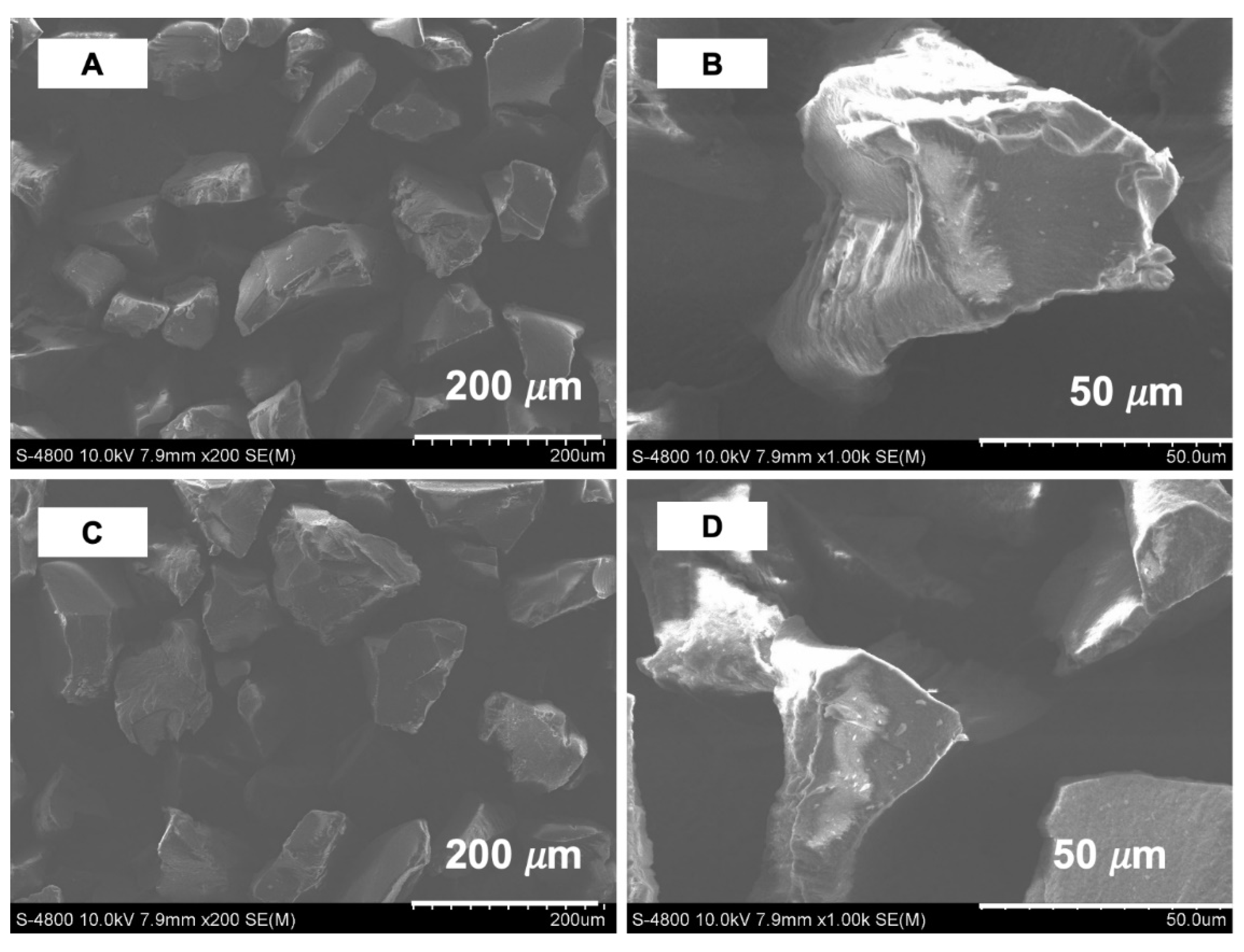 Polymers 13 02788 g004 Polymers 13 02788 g004