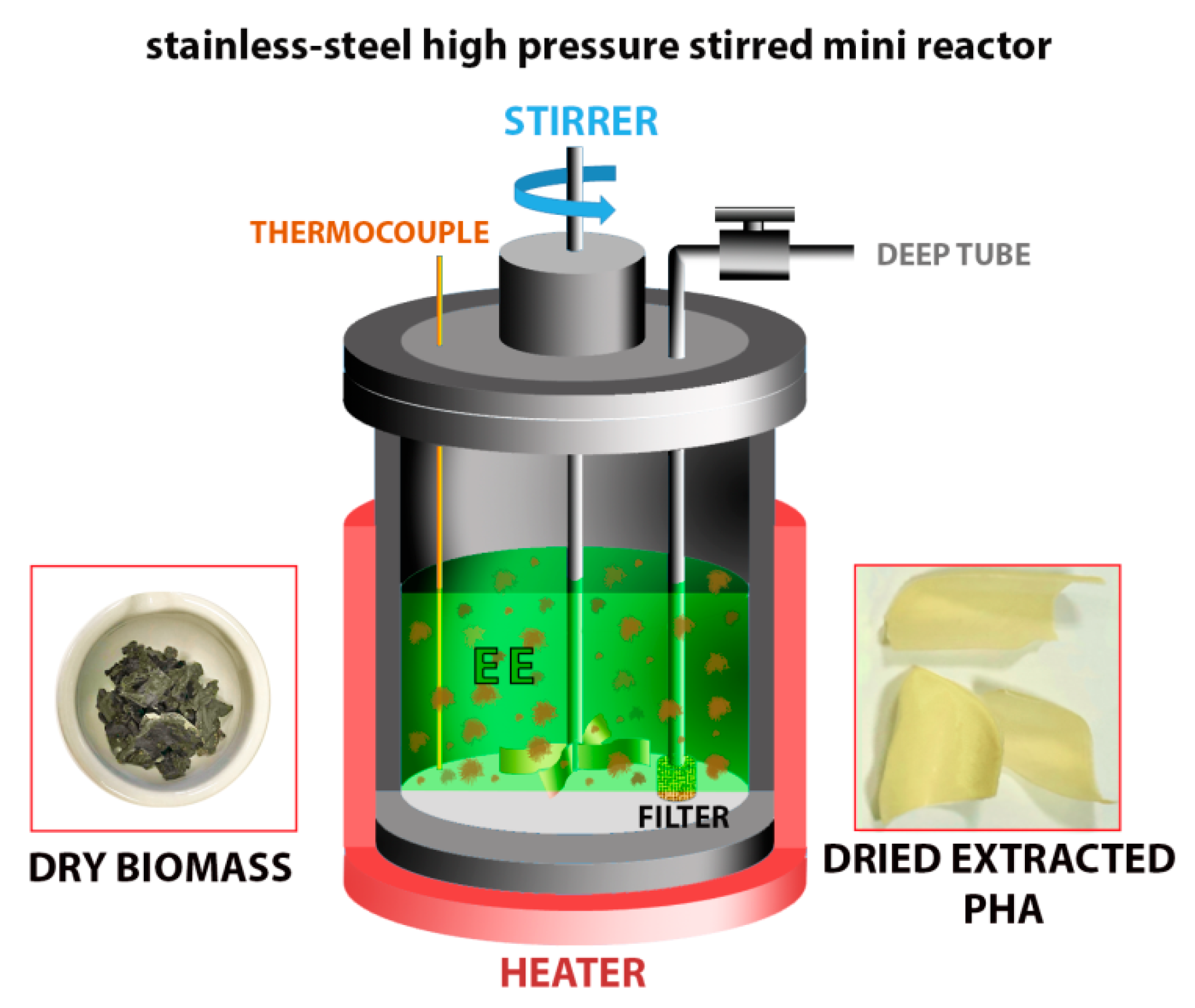 Polymers 13 02789 g001 550