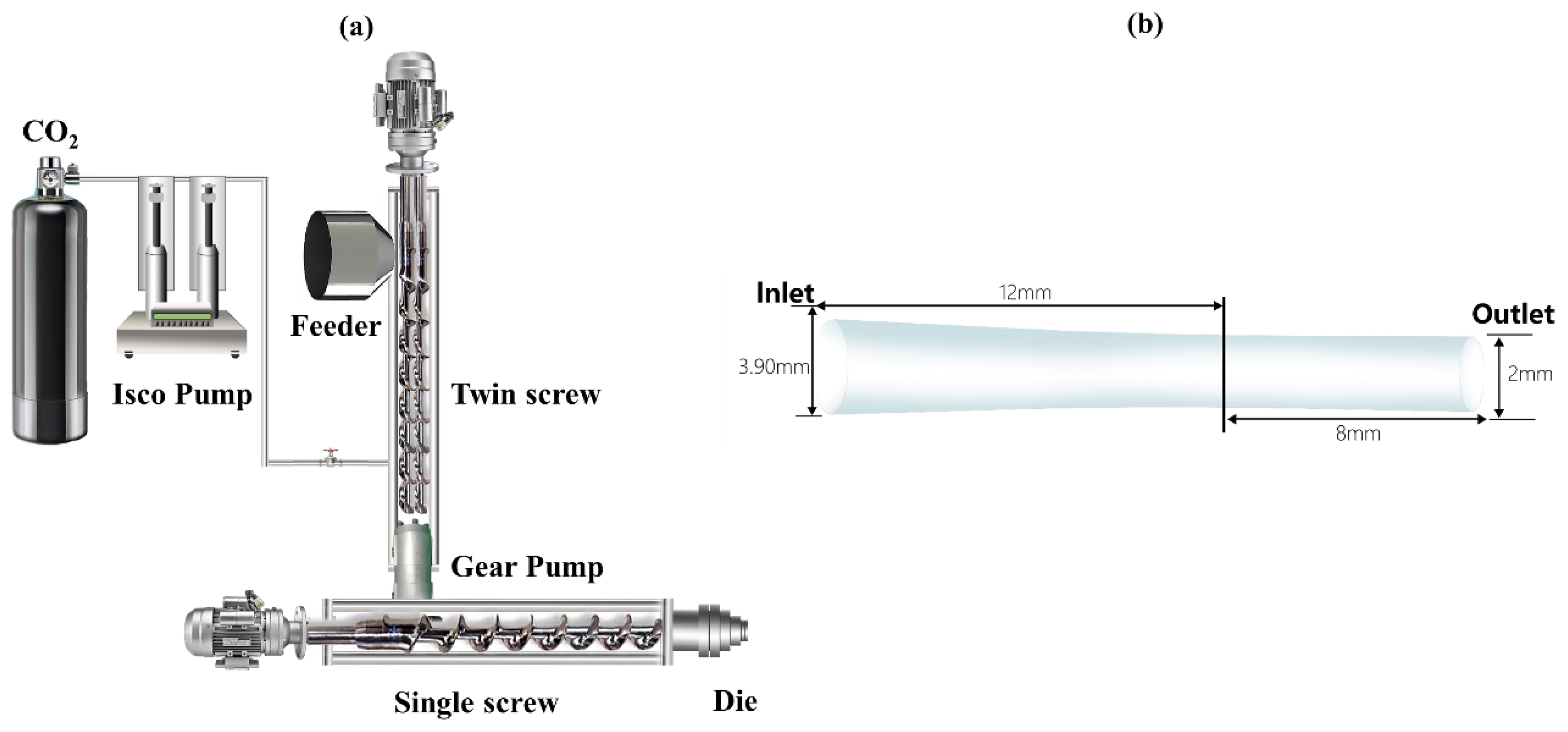 Polymers 13 02799 g003 550