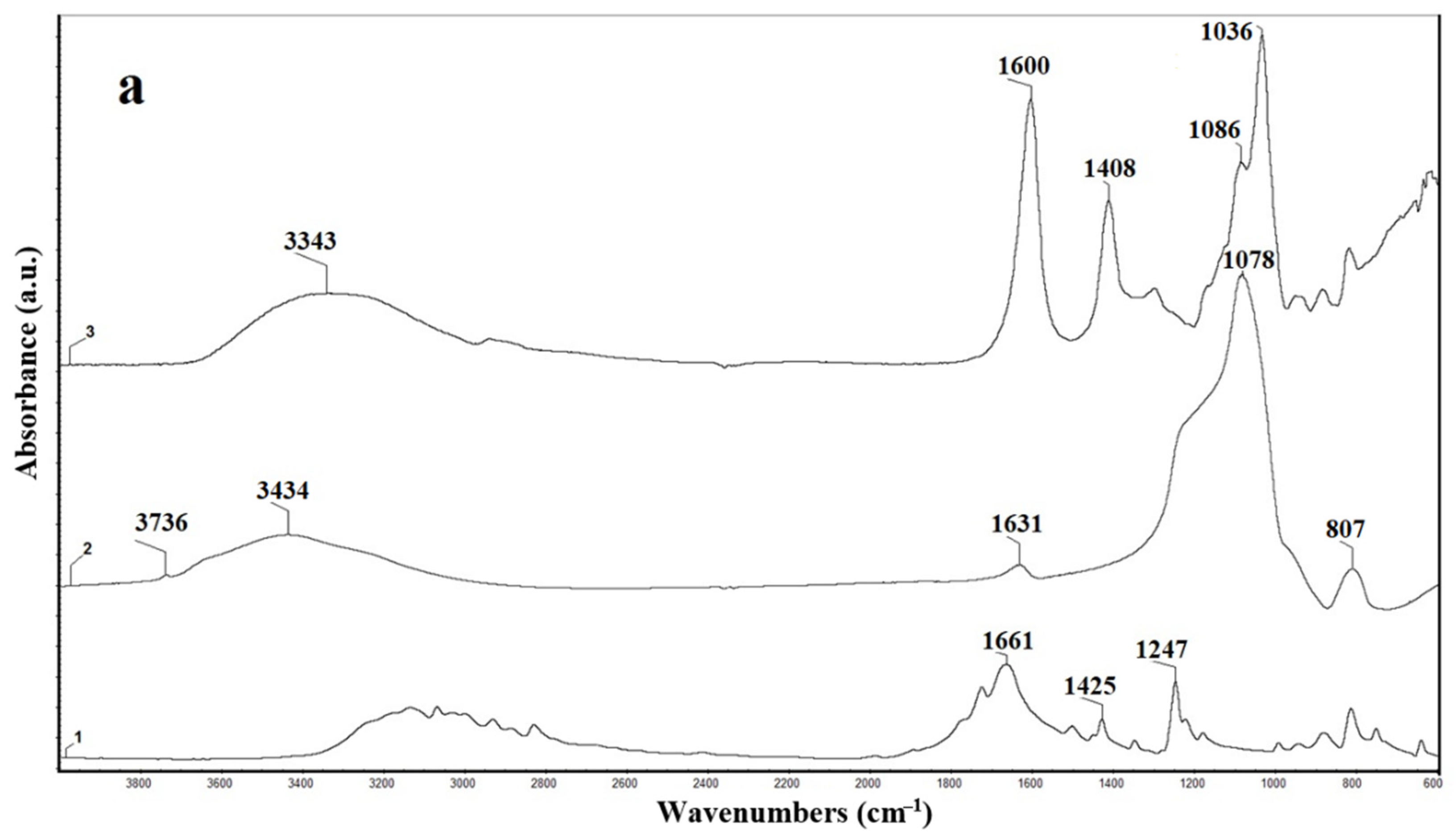 Polymers 13 02803 g003a
