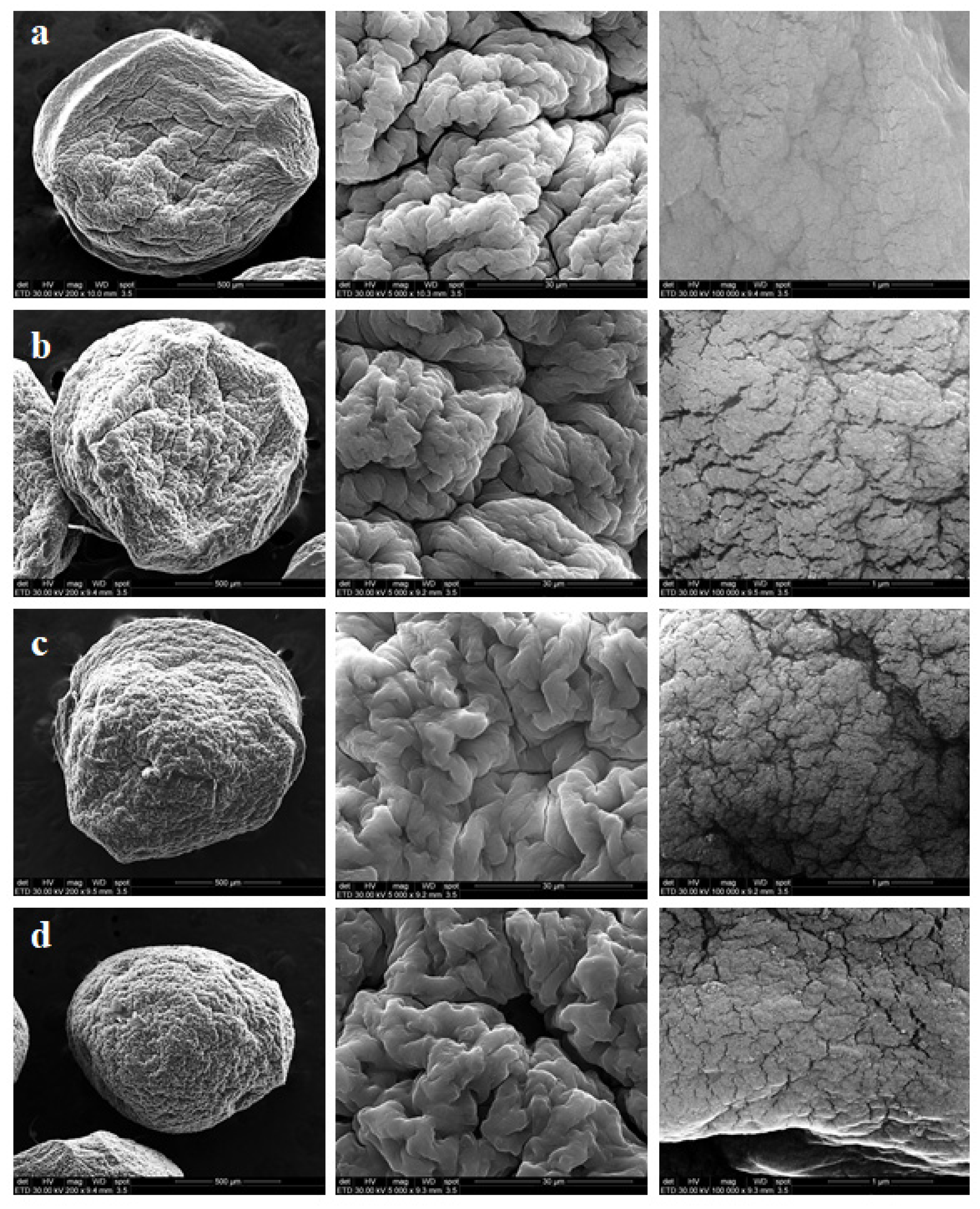 Polymers 13 02803 g005