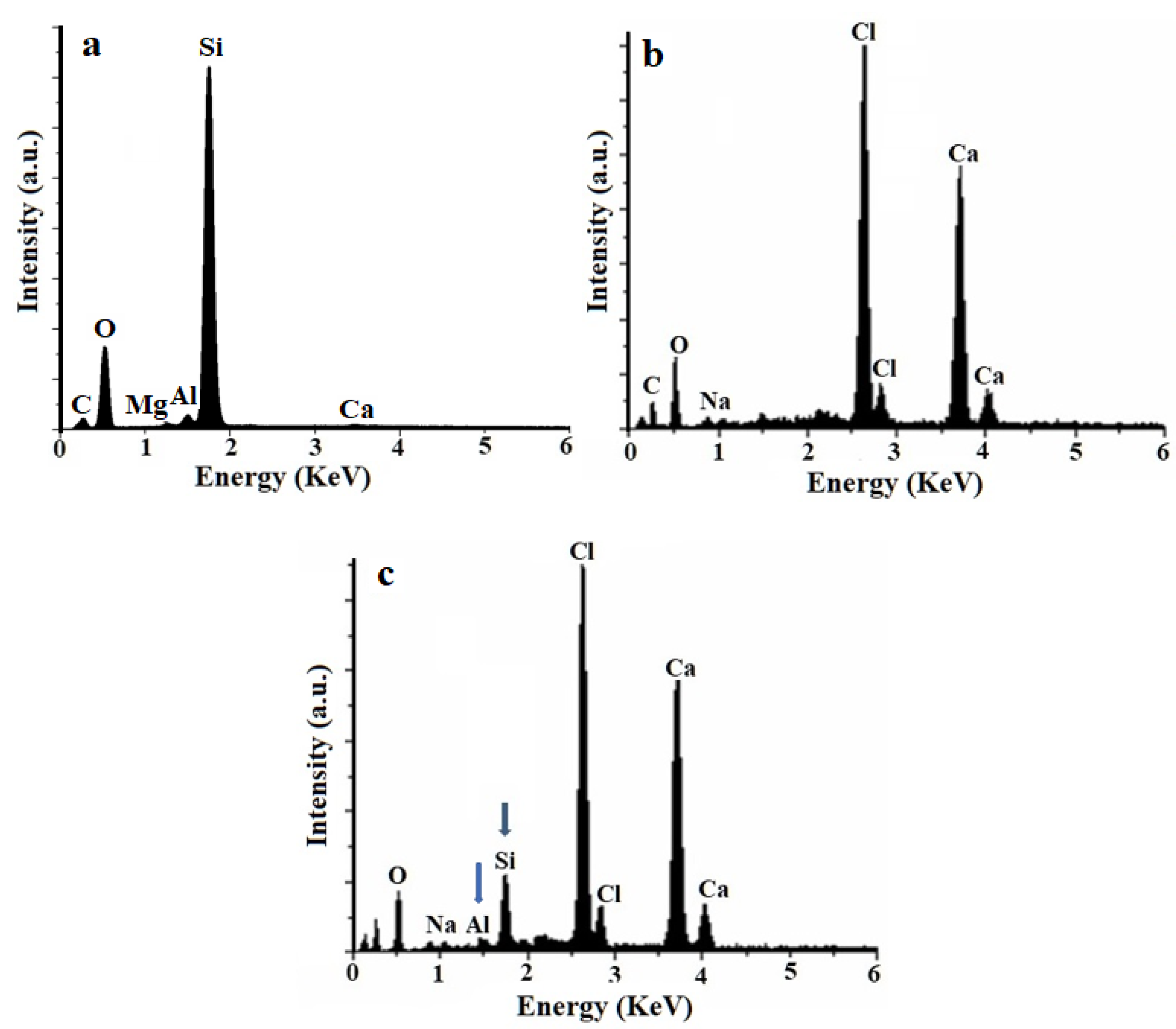 Polymers 13 02803 g006