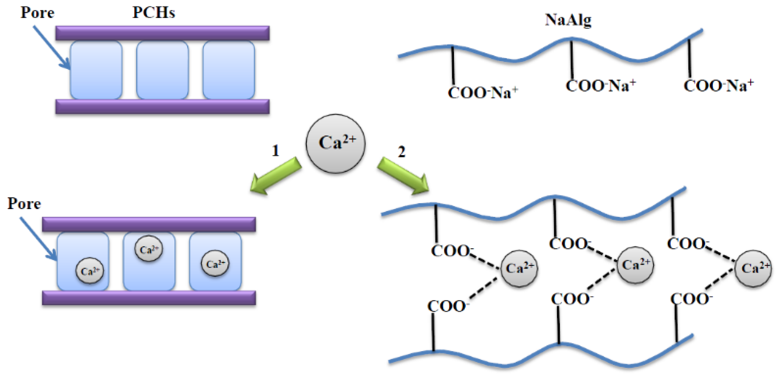 Polymers 13 02803 g007