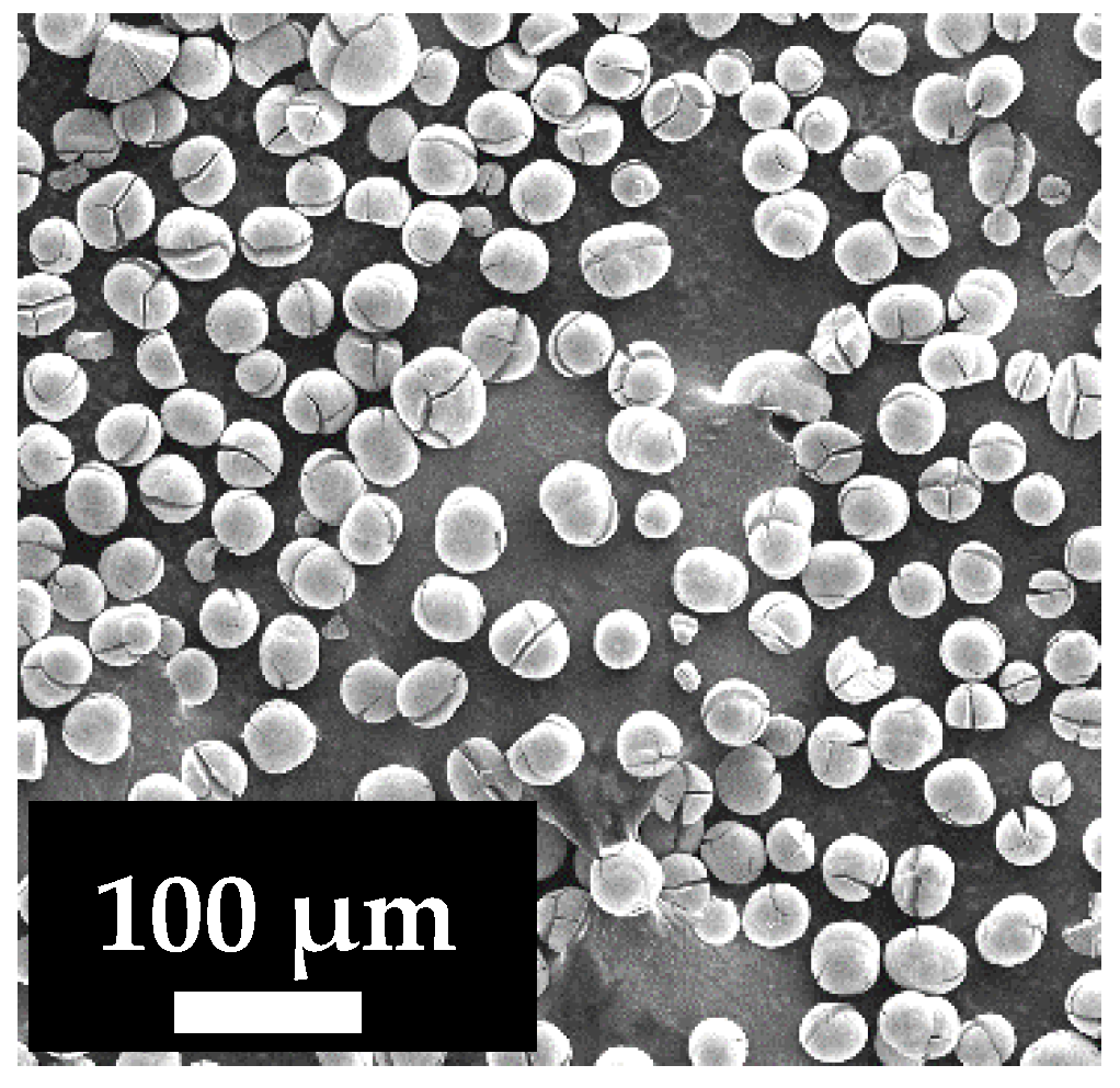 Polymers 13 02804 g001