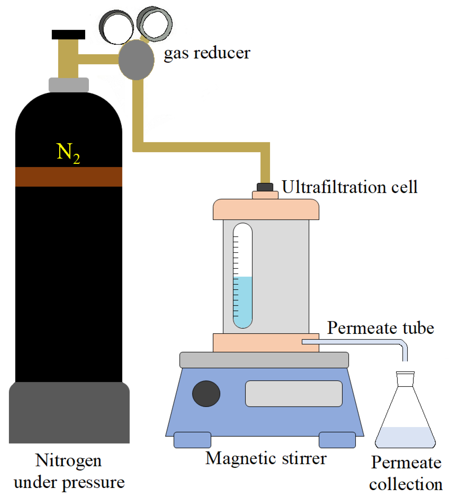 Polymers 13 02804 g003