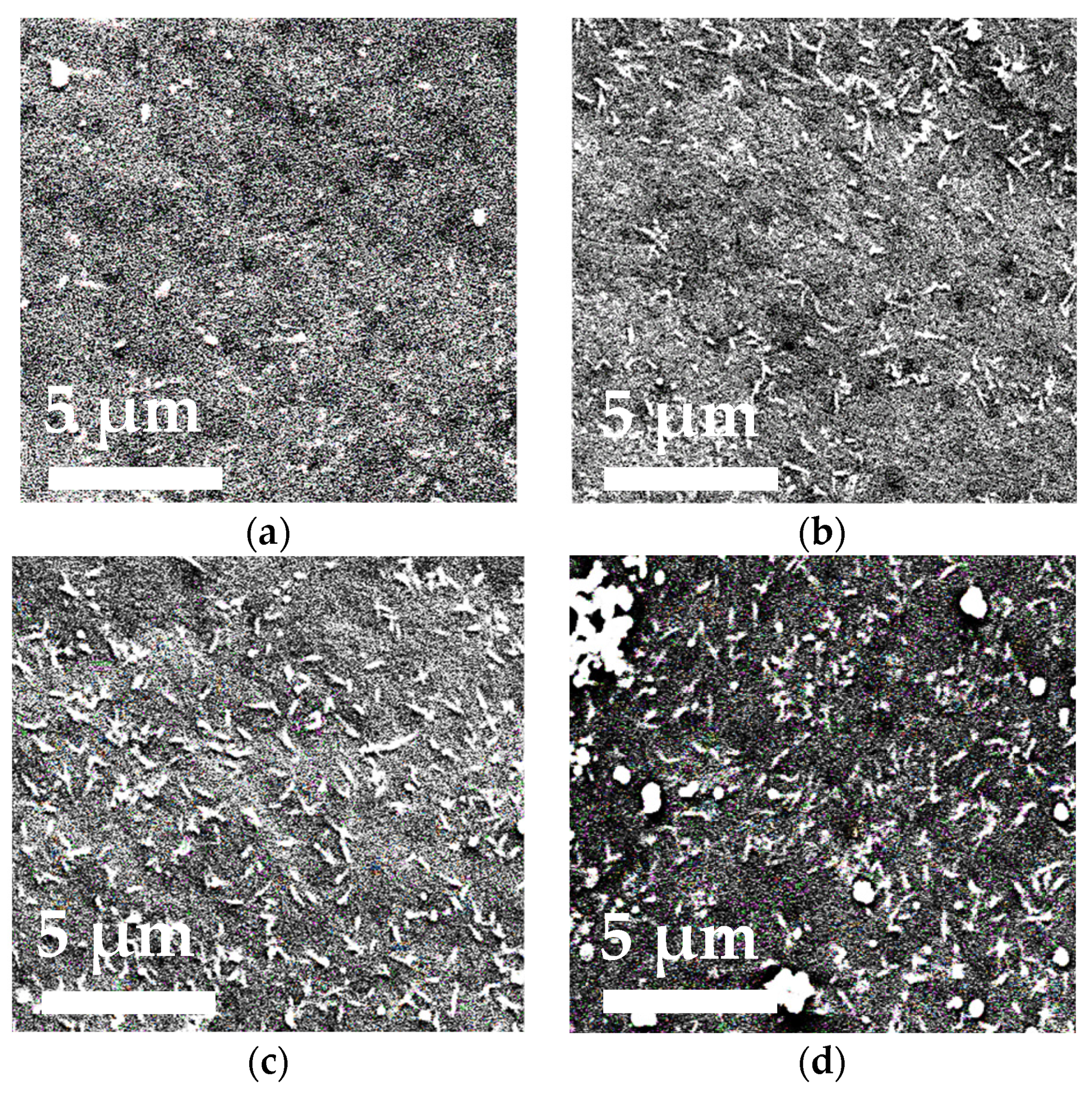 Polymers 13 02804 g005