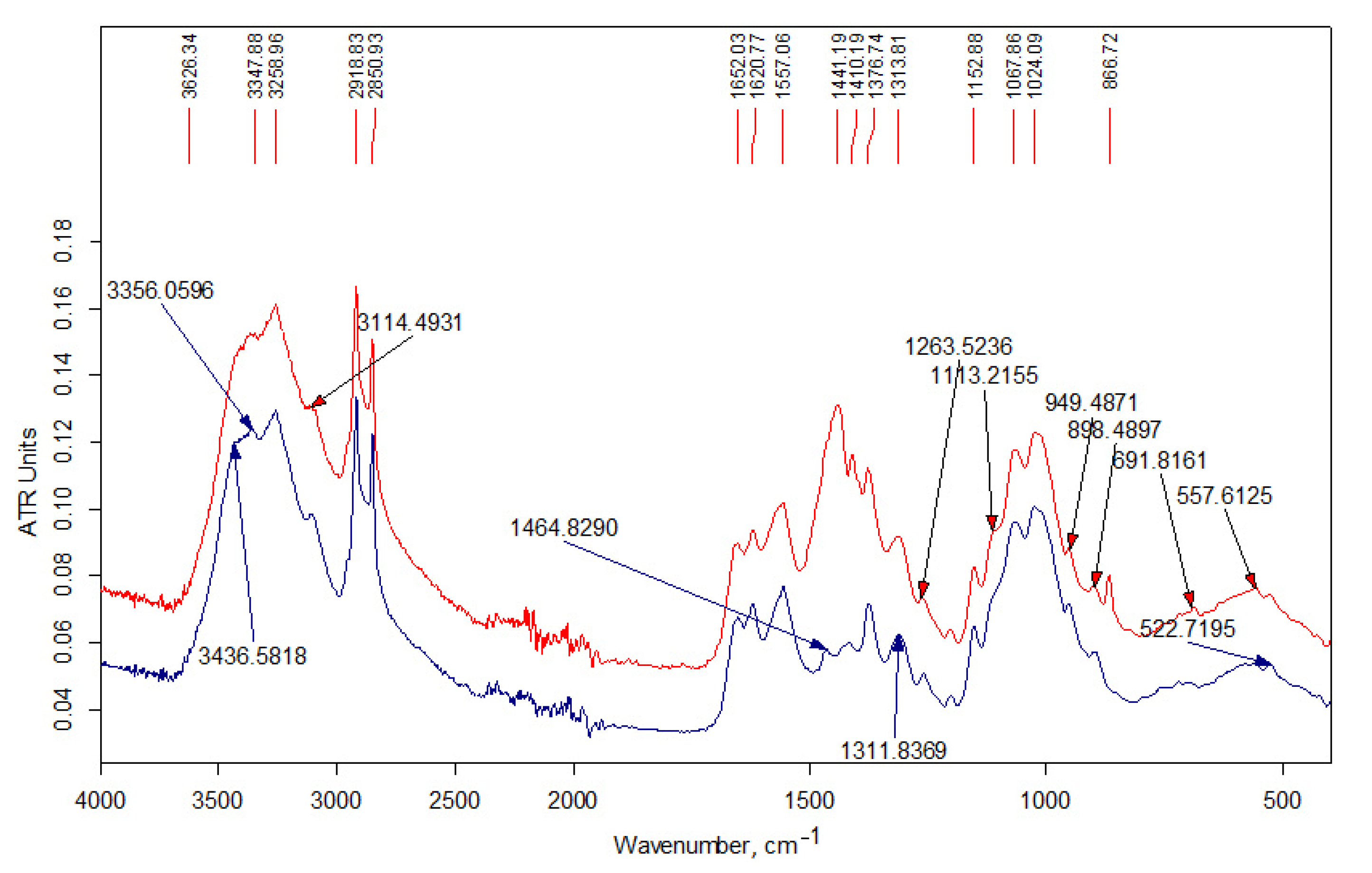 Polymers 13 02807 g005