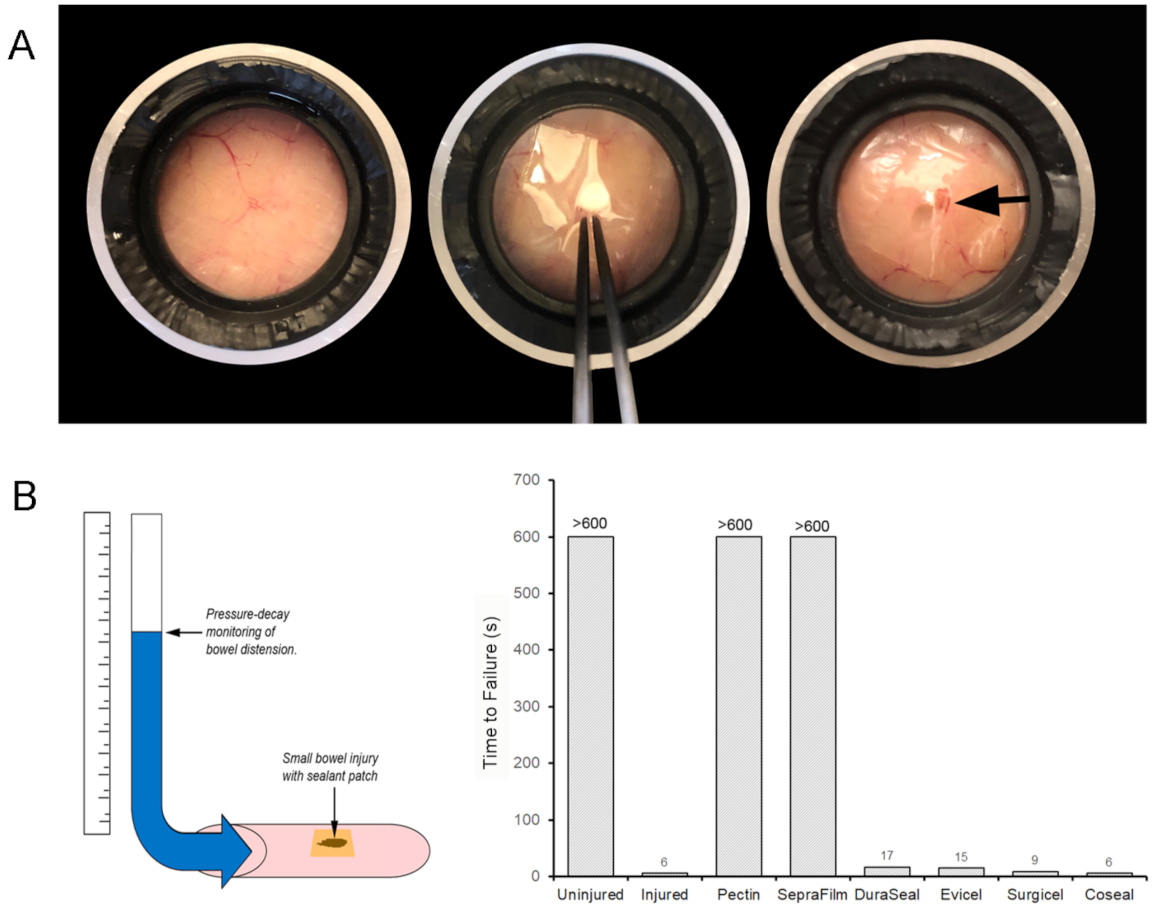 Polymers 13 02811 g005