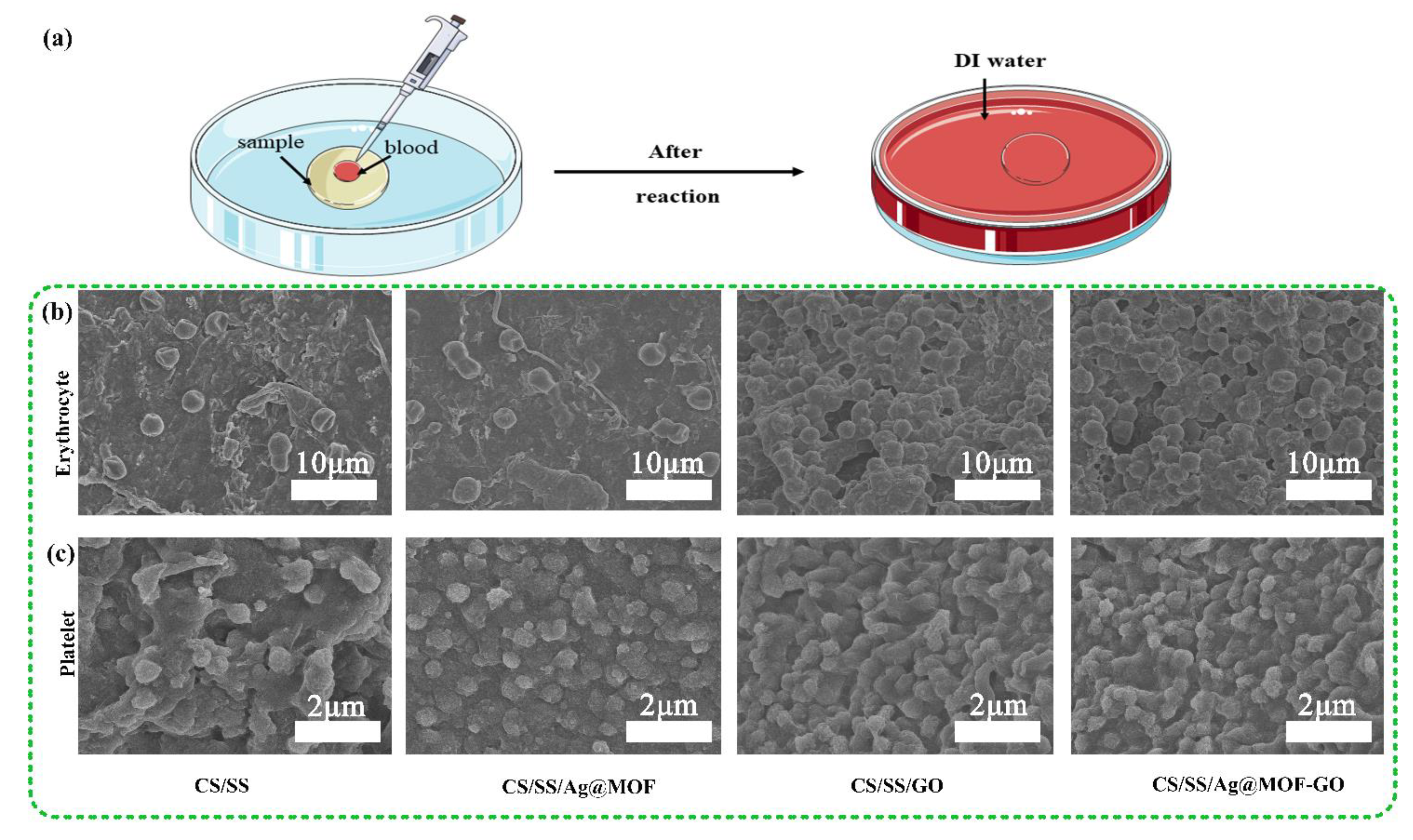 Polymers 13 02812 g005 550