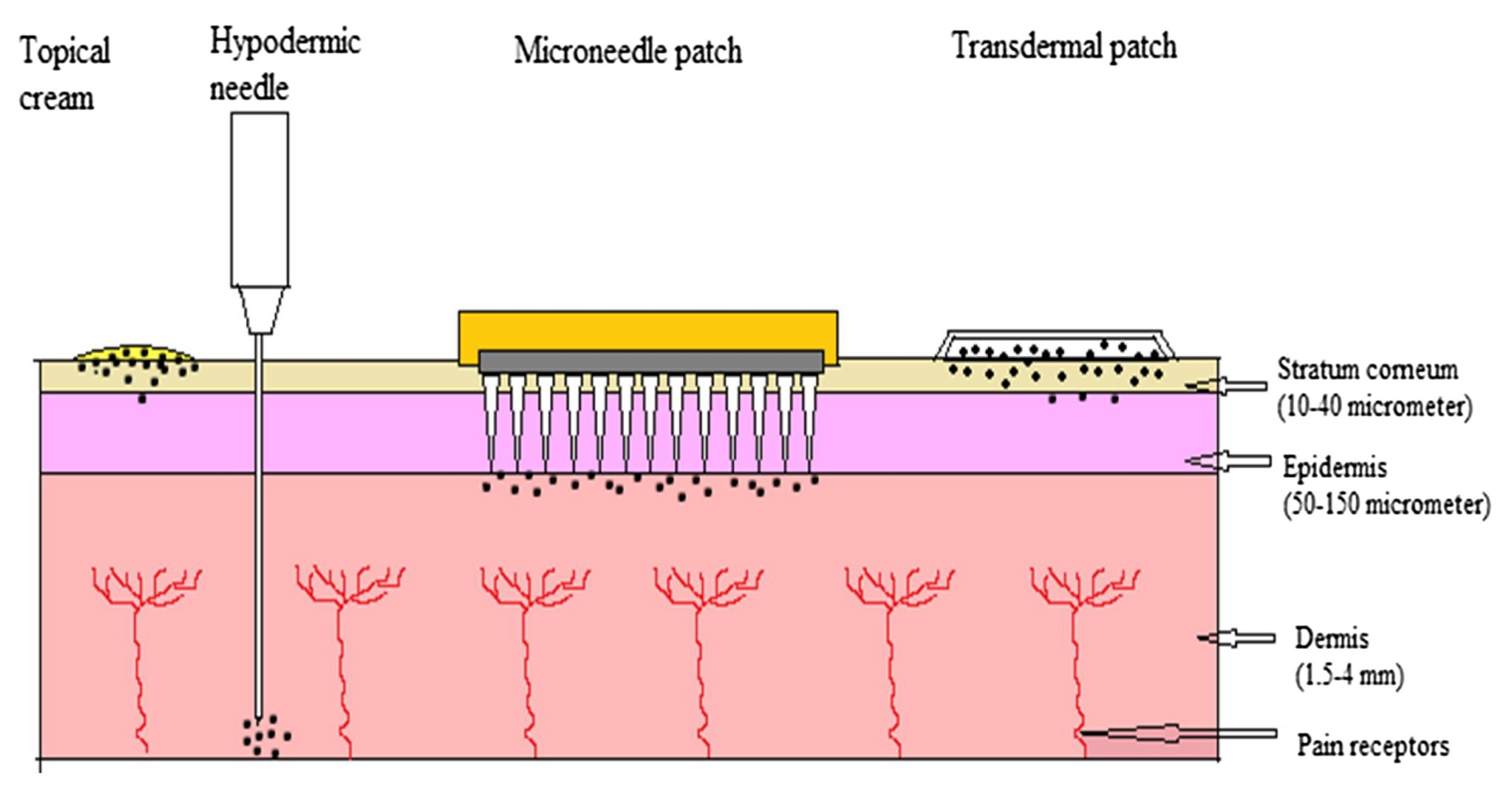 Polymers 13 02815 g001 Polymers 13 02815 g001