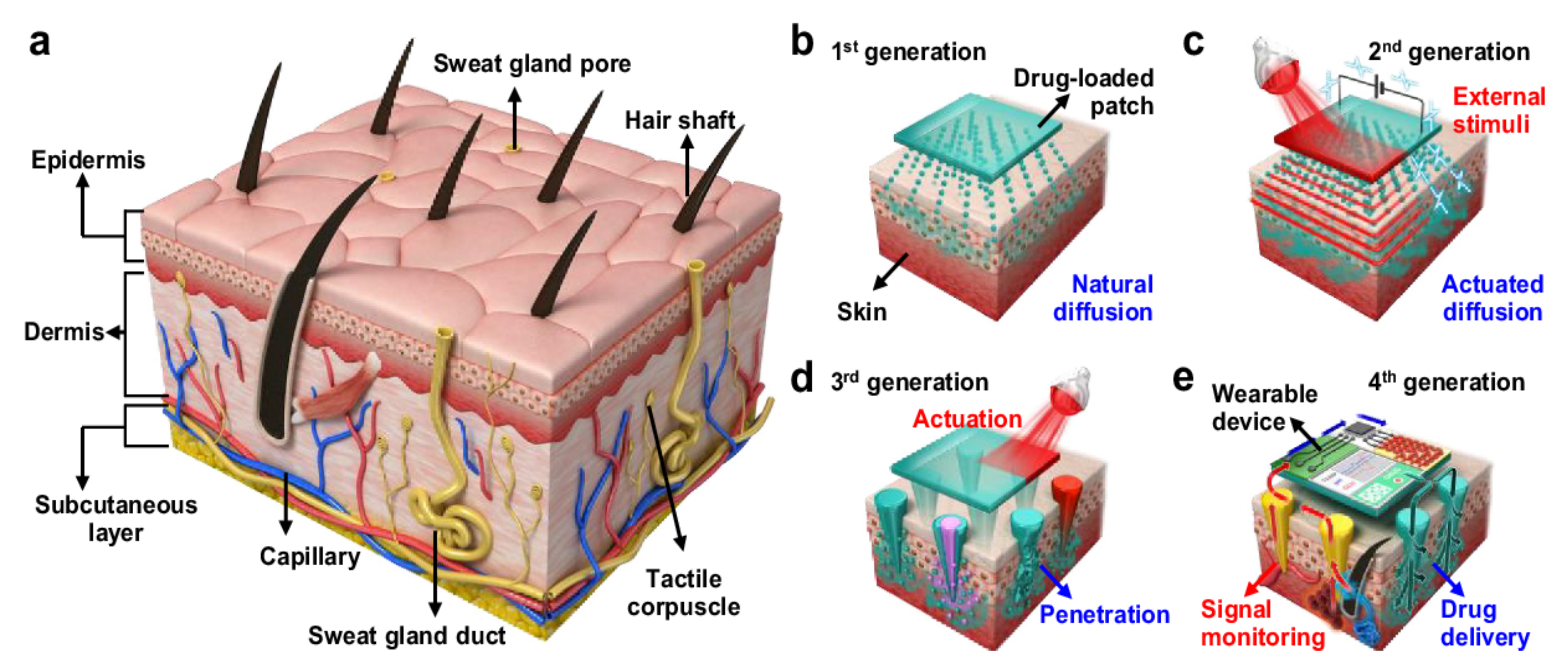 Polymers 13 02815 g002 Polymers 13 02815 g002