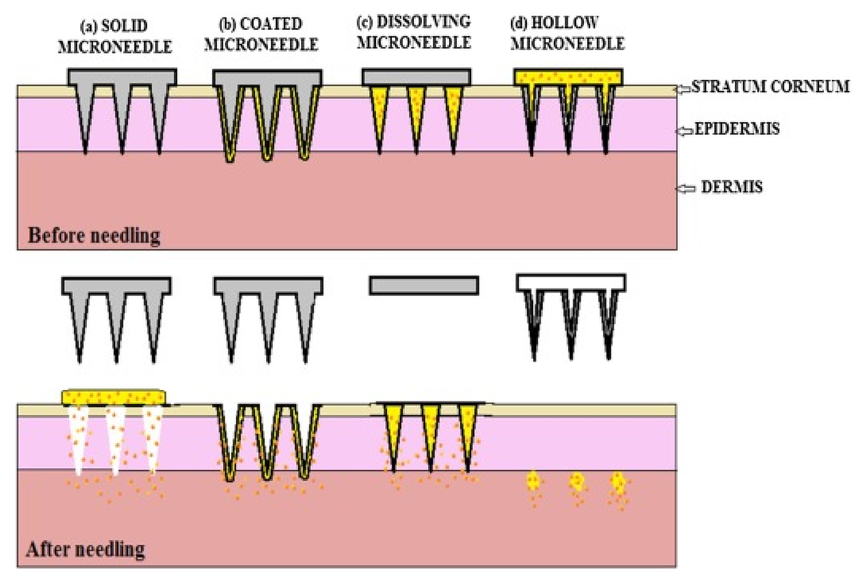 Polymers 13 02815 g005 Polymers 13 02815 g005