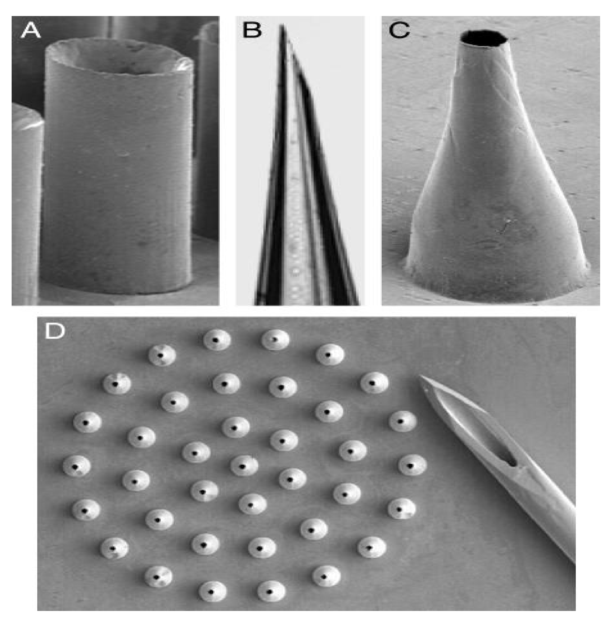 Polymers 13 02815 g007 Polymers 13 02815 g007