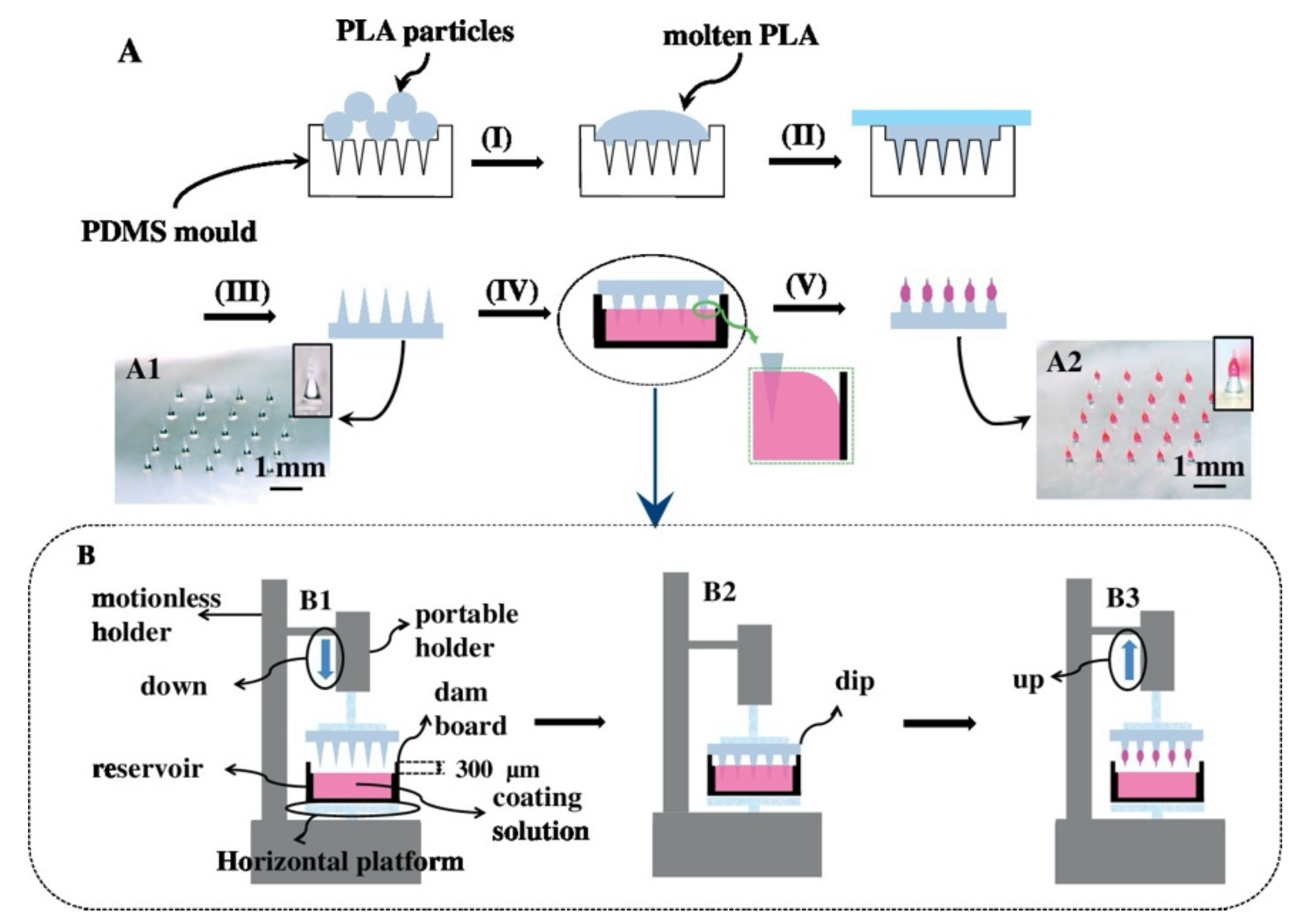 Polymers 13 02815 g008 Polymers 13 02815 g008