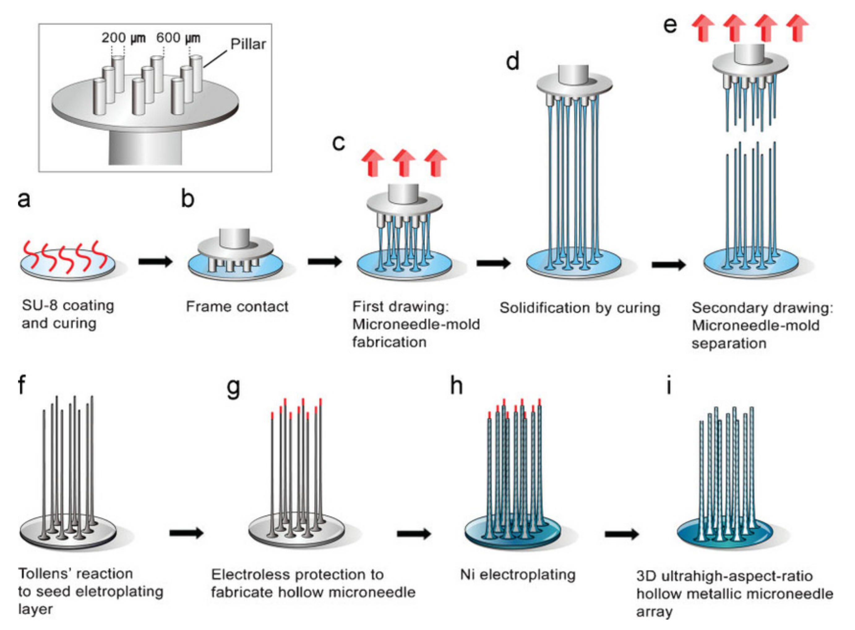 Polymers 13 02815 g012 Polymers 13 02815 g012