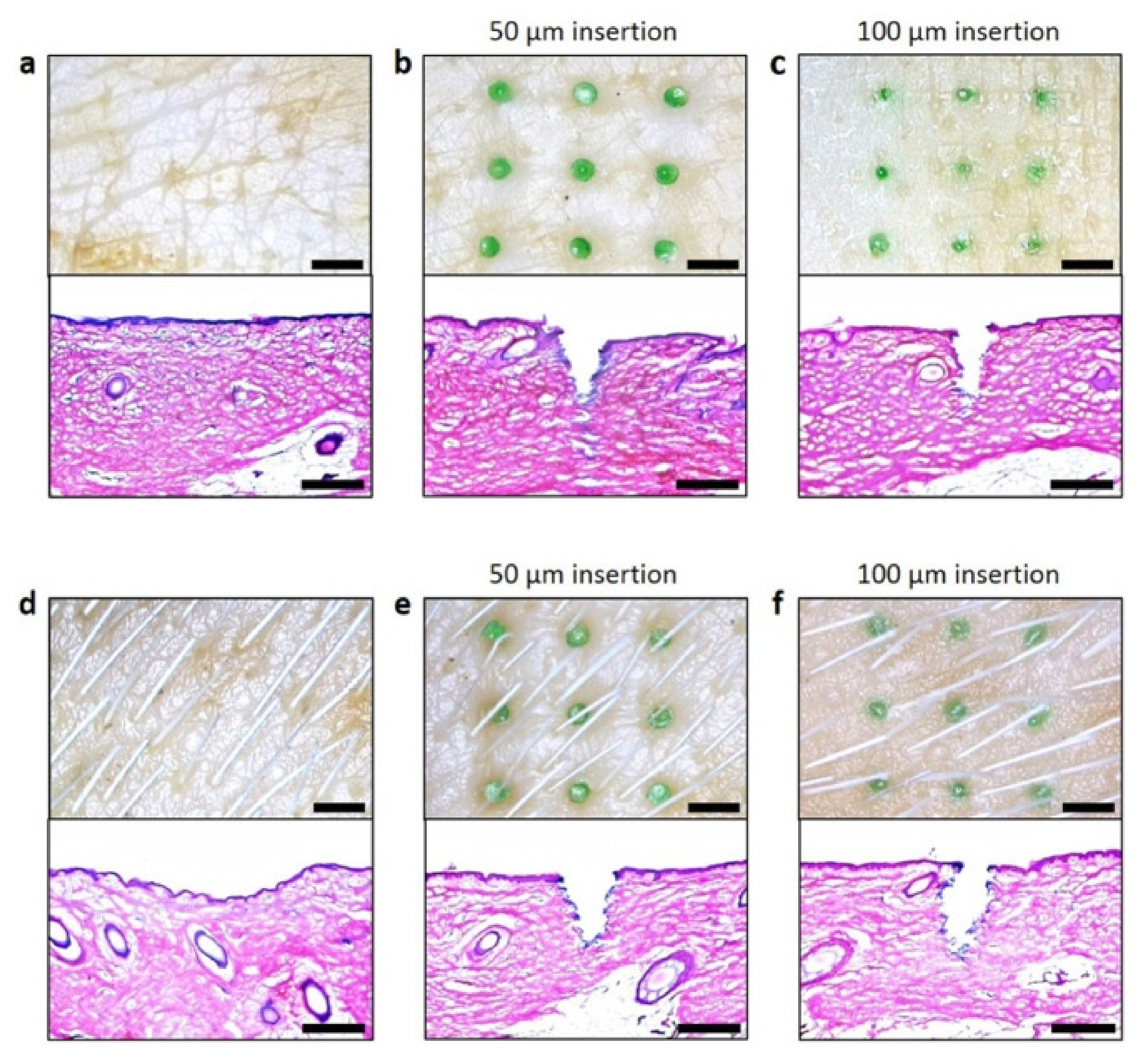 Polymers 13 02815 g017 Polymers 13 02815 g017