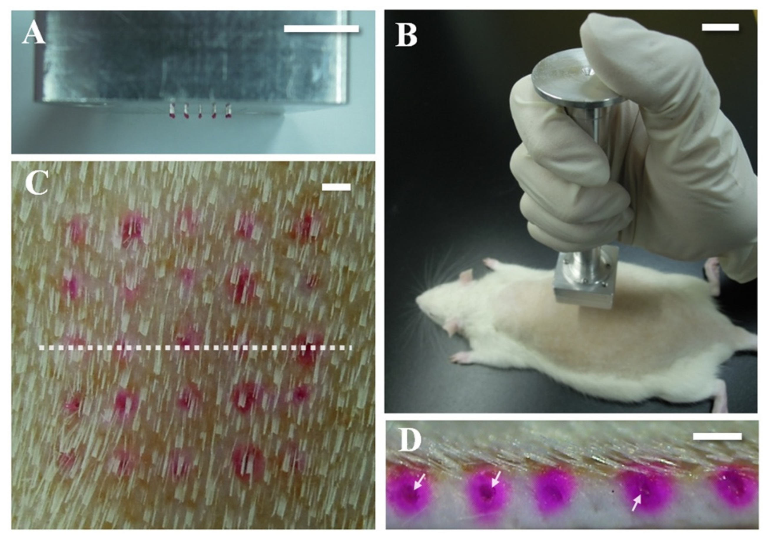 Polymers 13 02815 g018 Polymers 13 02815 g018