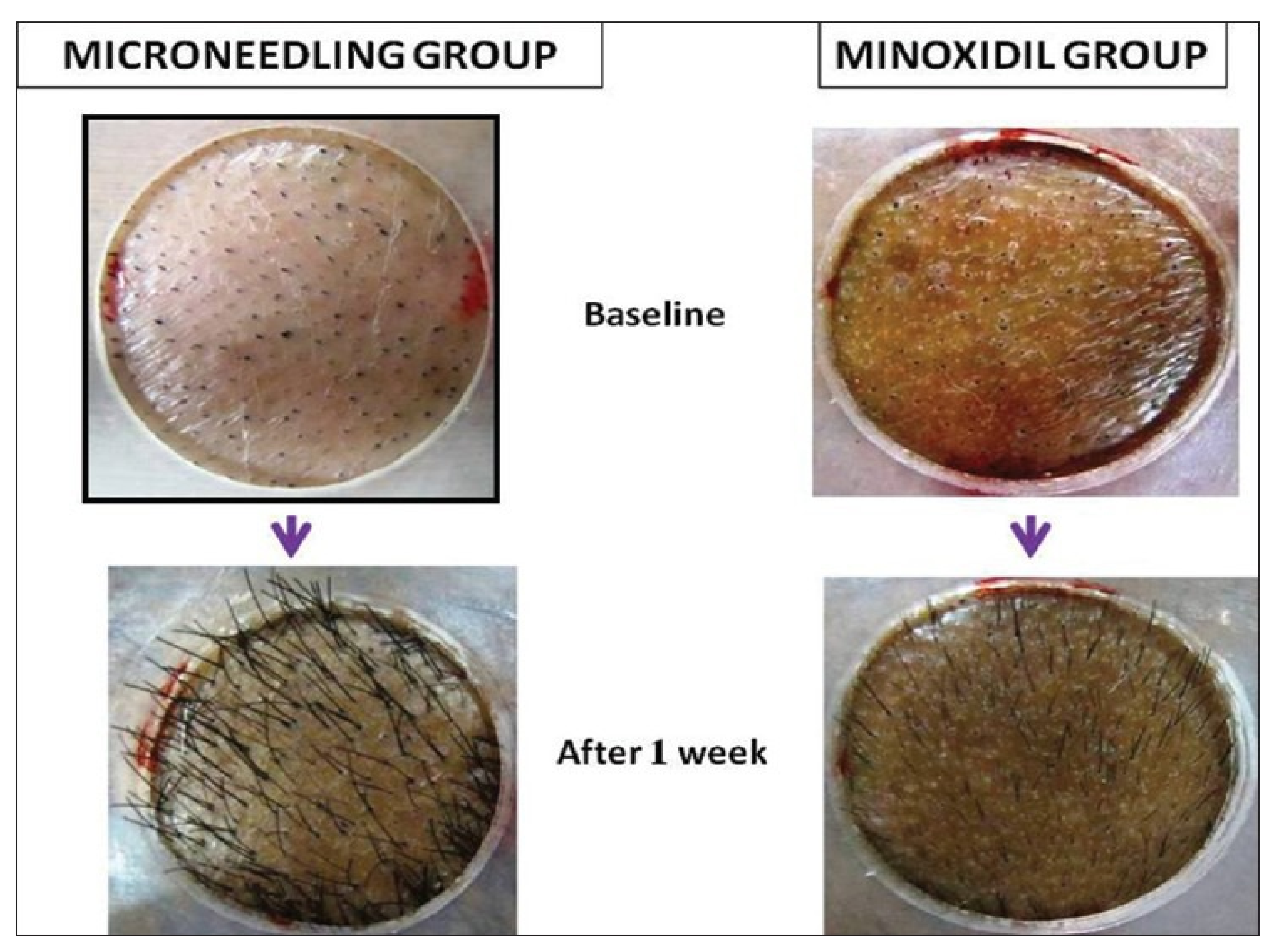Polymers 13 02815 g019 Polymers 13 02815 g019