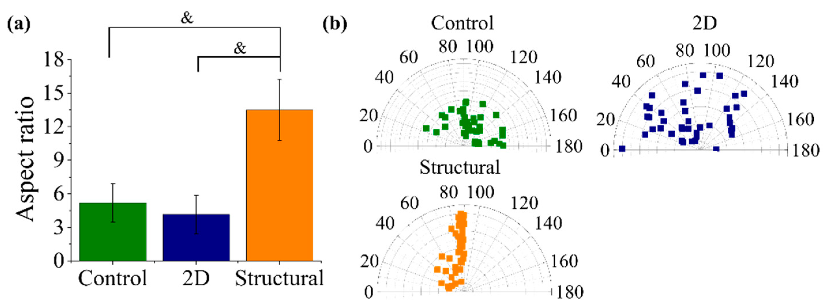 Polymers 13 02821 g007
