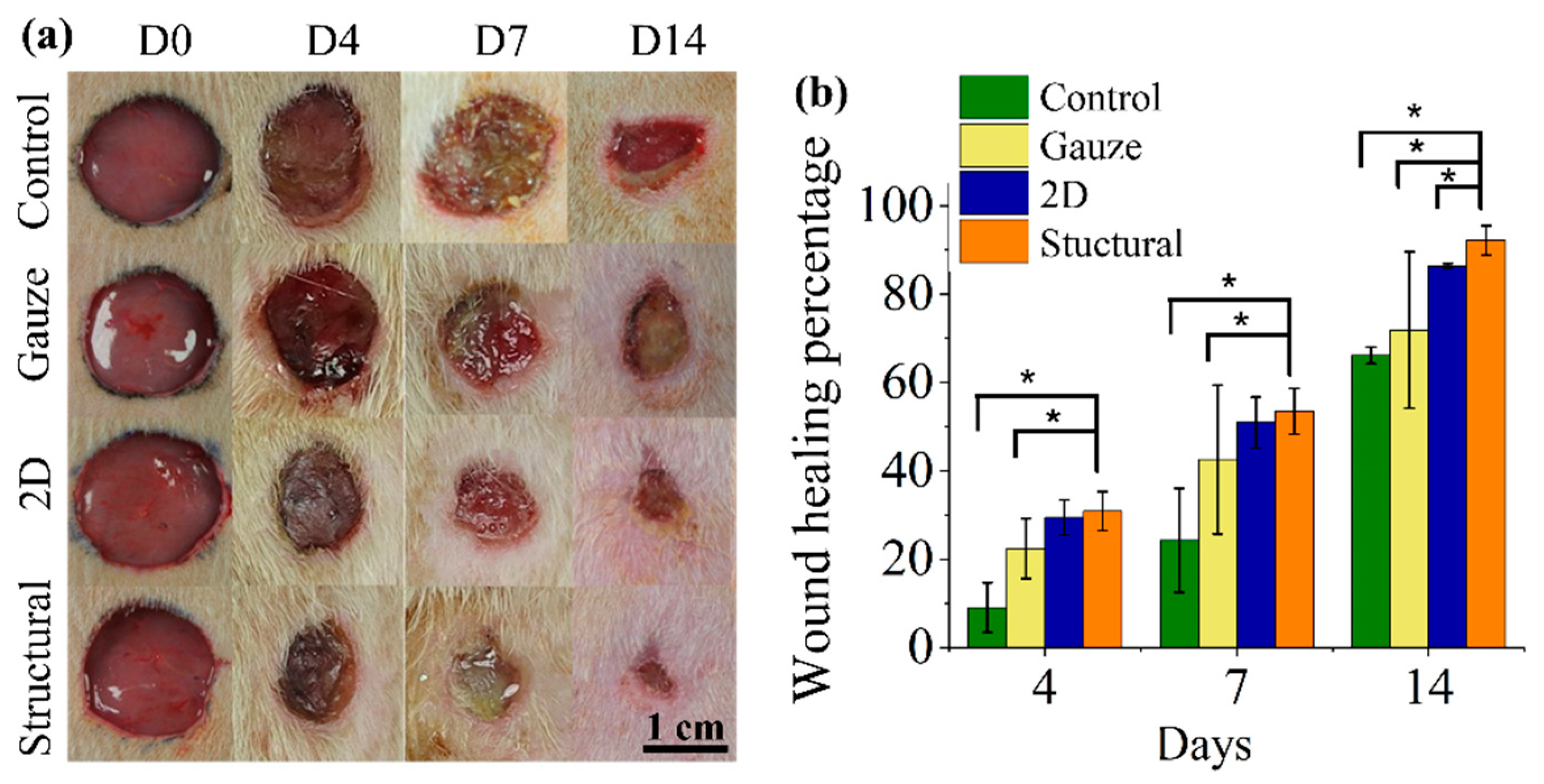 Polymers 13 02821 g009