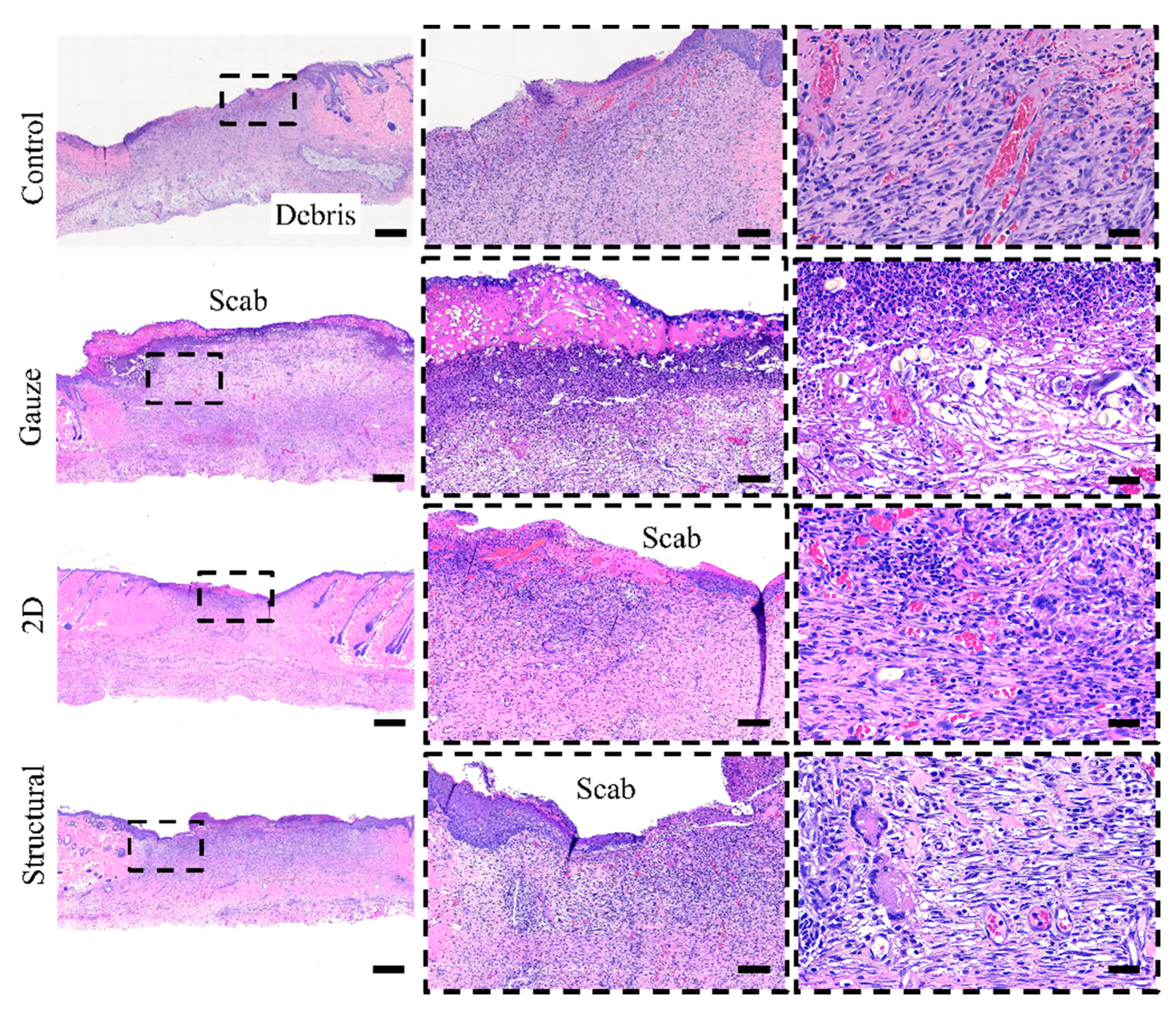 Polymers 13 02821 g010