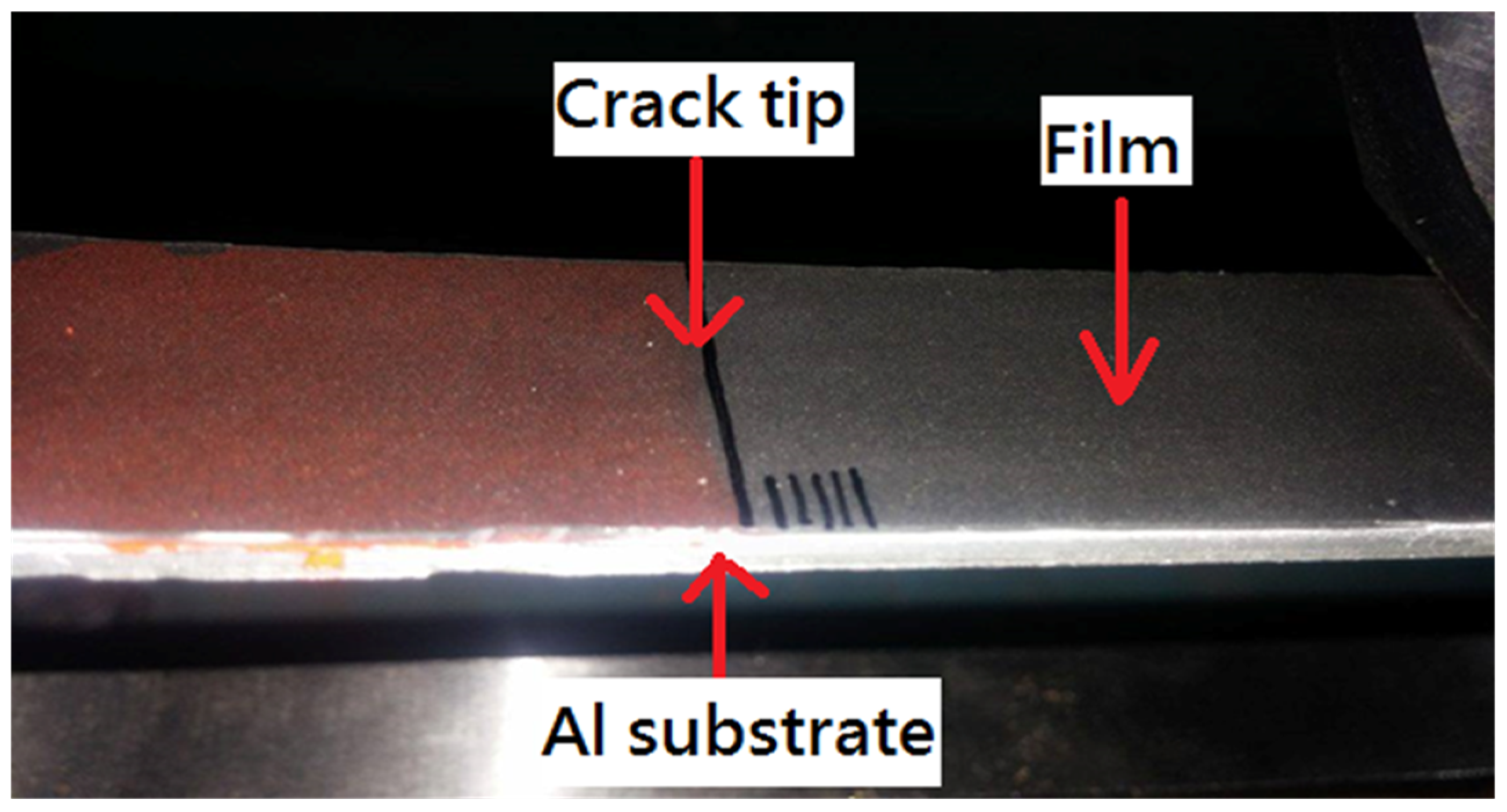 Polymers 13 02823 g006 550