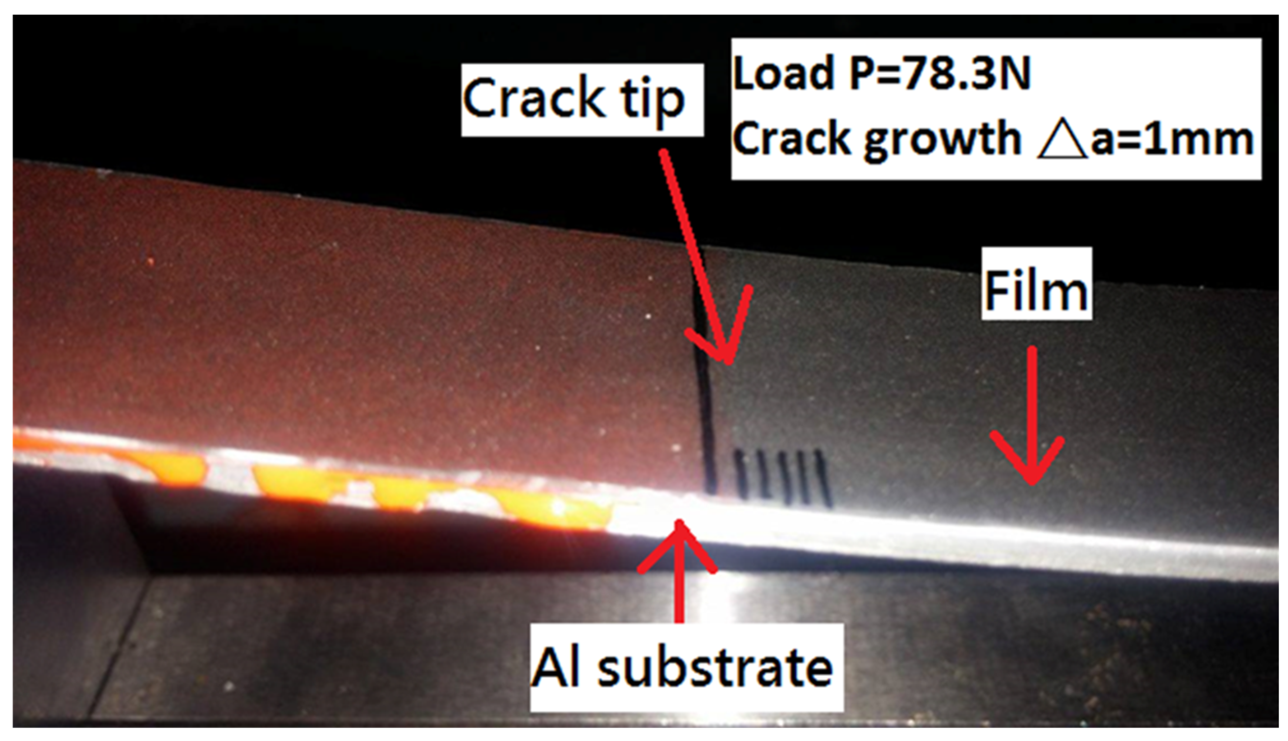 Polymers 13 02823 g007 550
