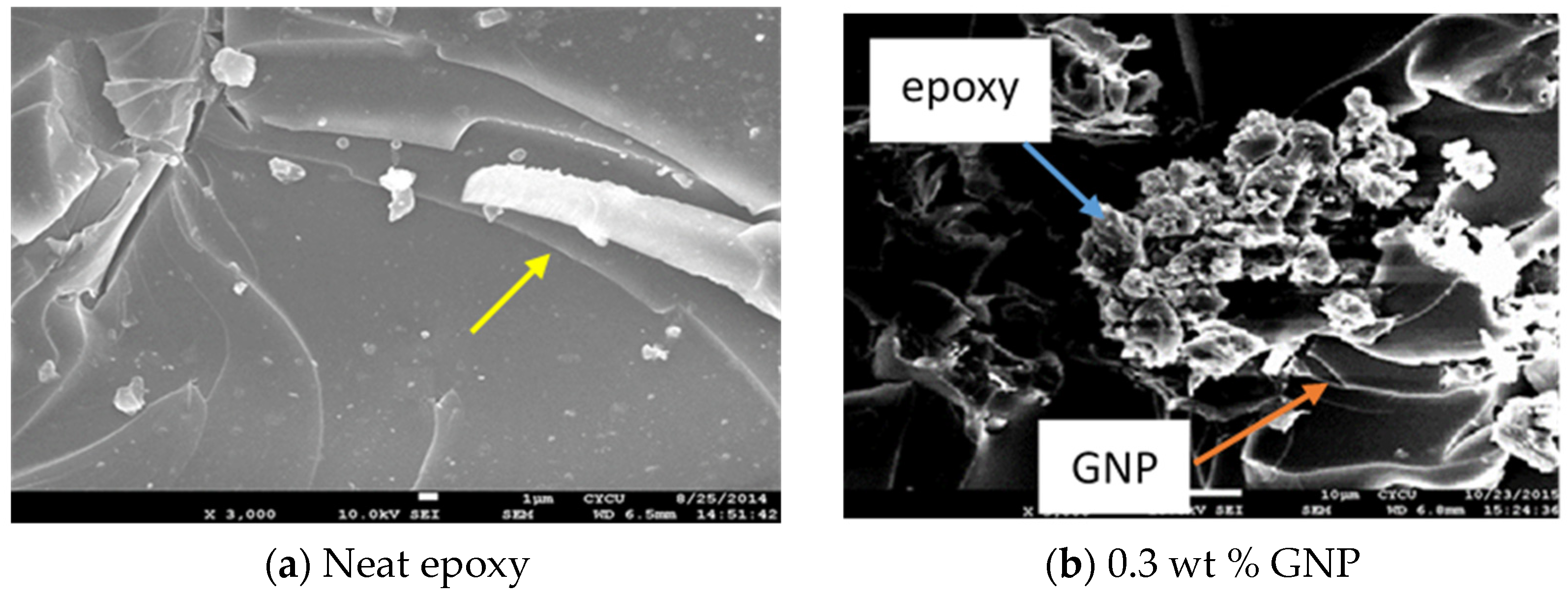 Polymers 13 02823 g008a 550