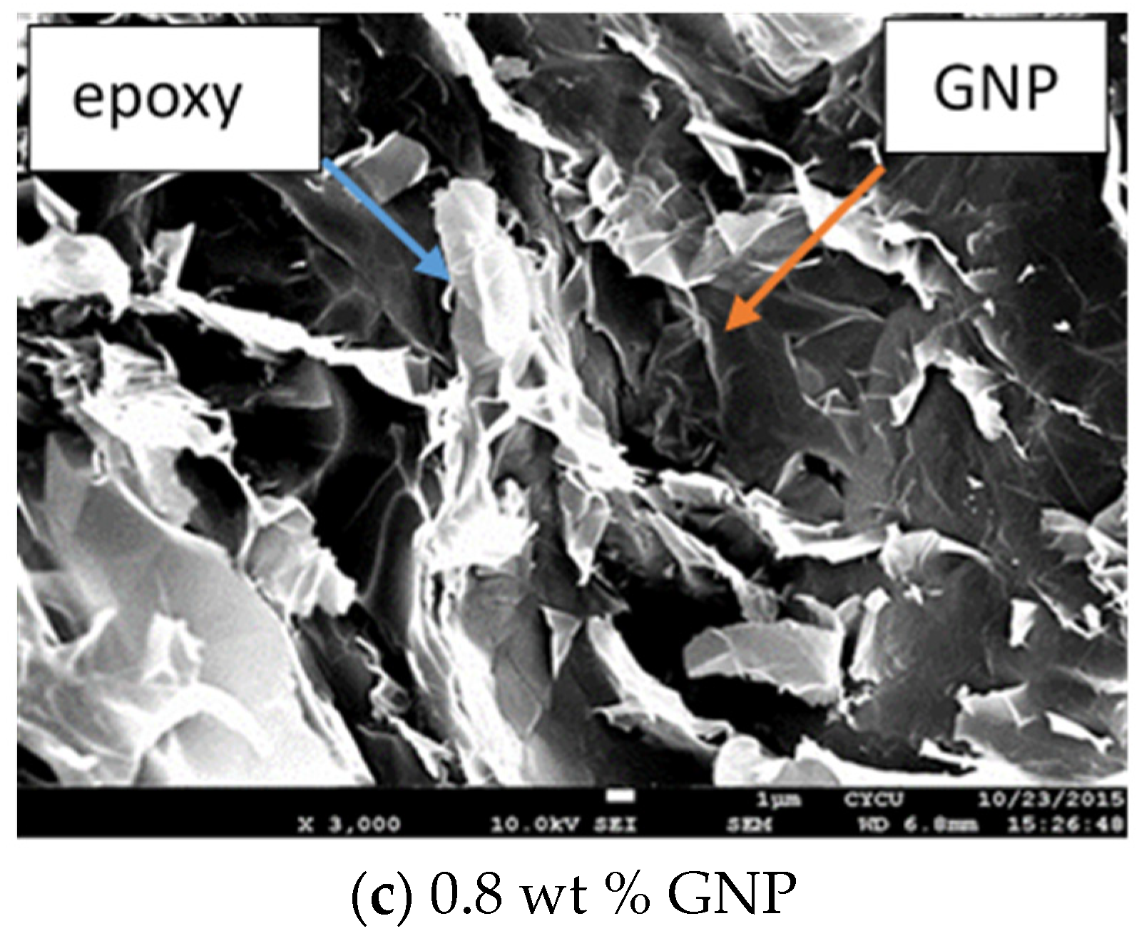 Polymers 13 02823 g008b 550