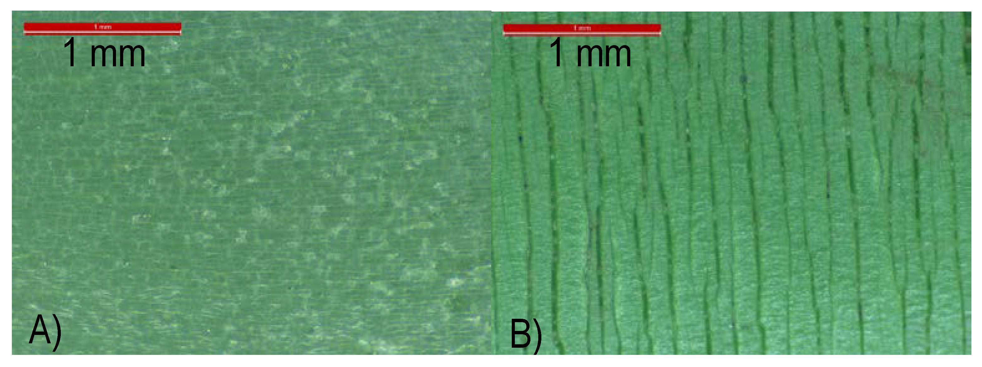 Polymers 13 02825 g007
