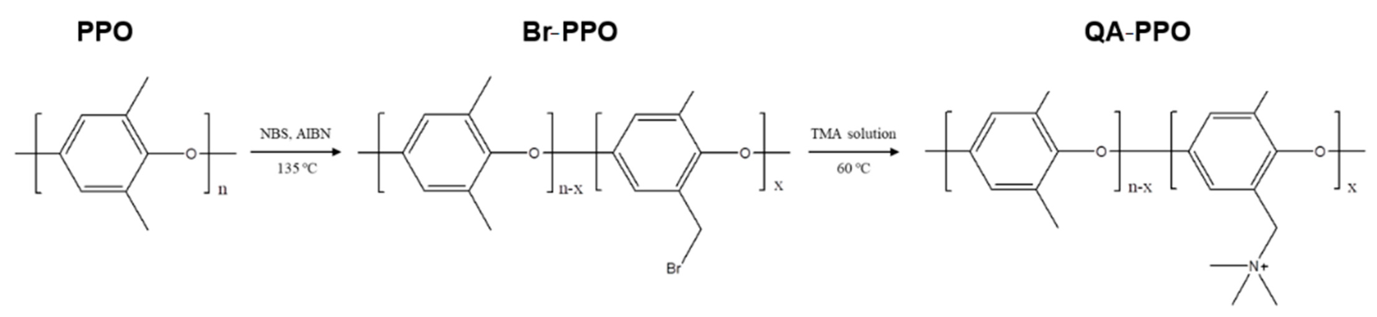 Polymers 13 02827 g001