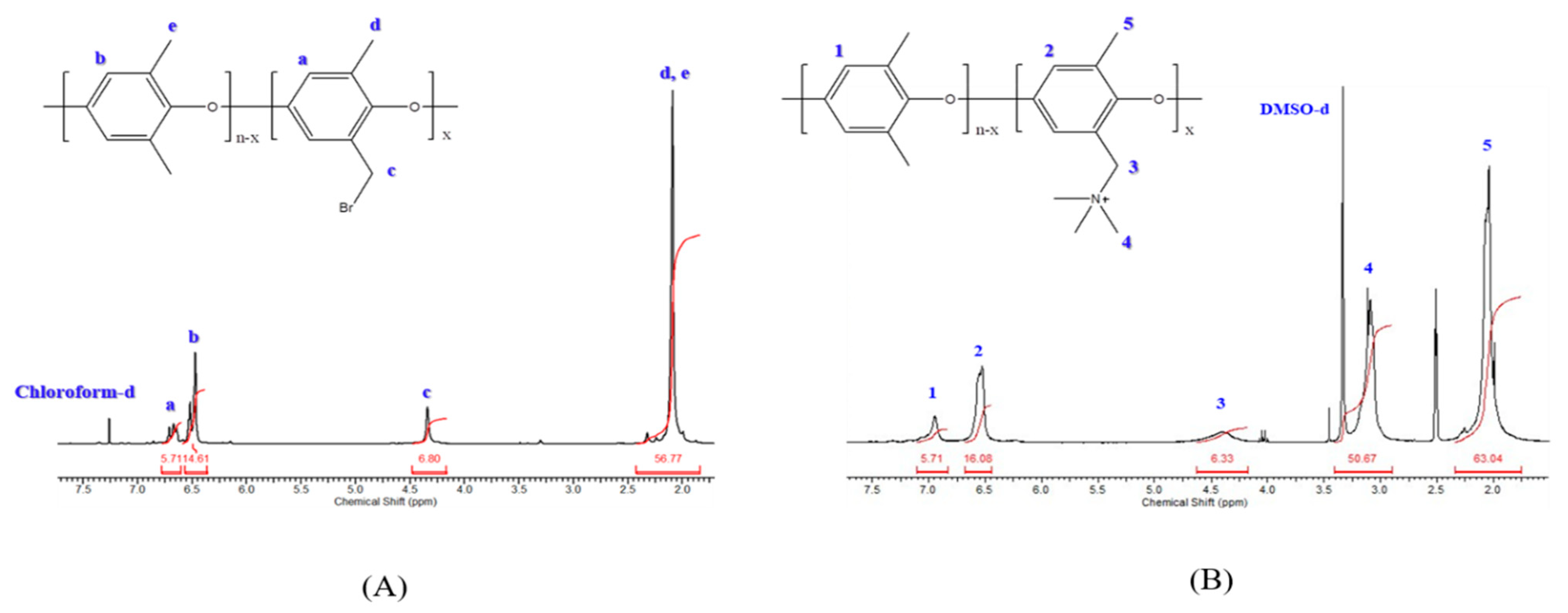 Polymers 13 02827 g002