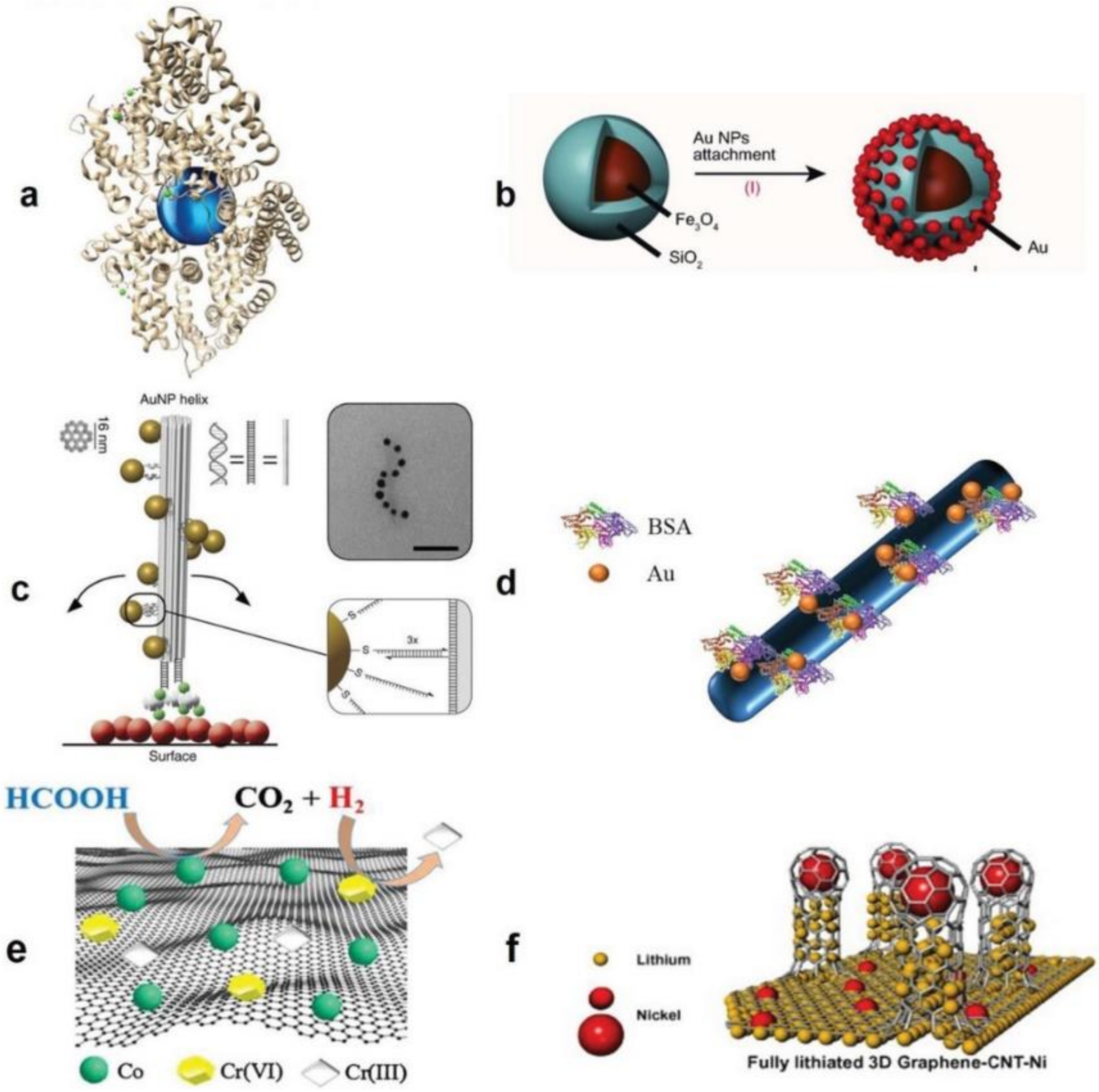 Polymers 13 02833 g002 550