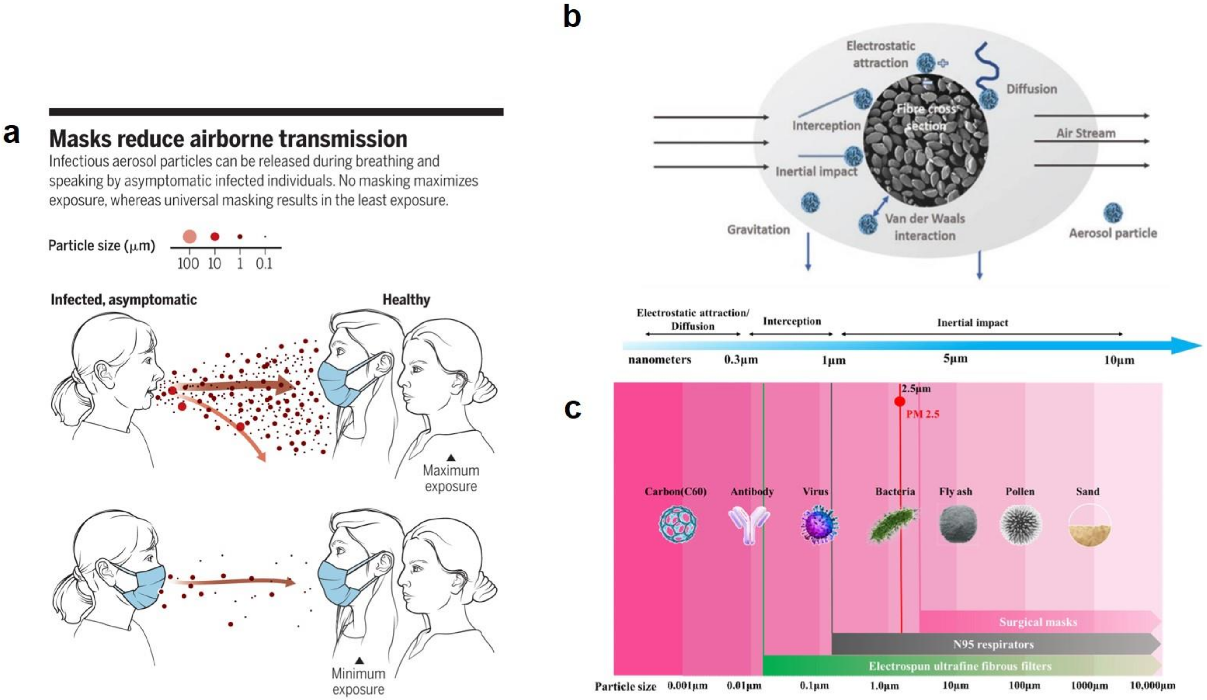 Polymers 13 02833 g003 550