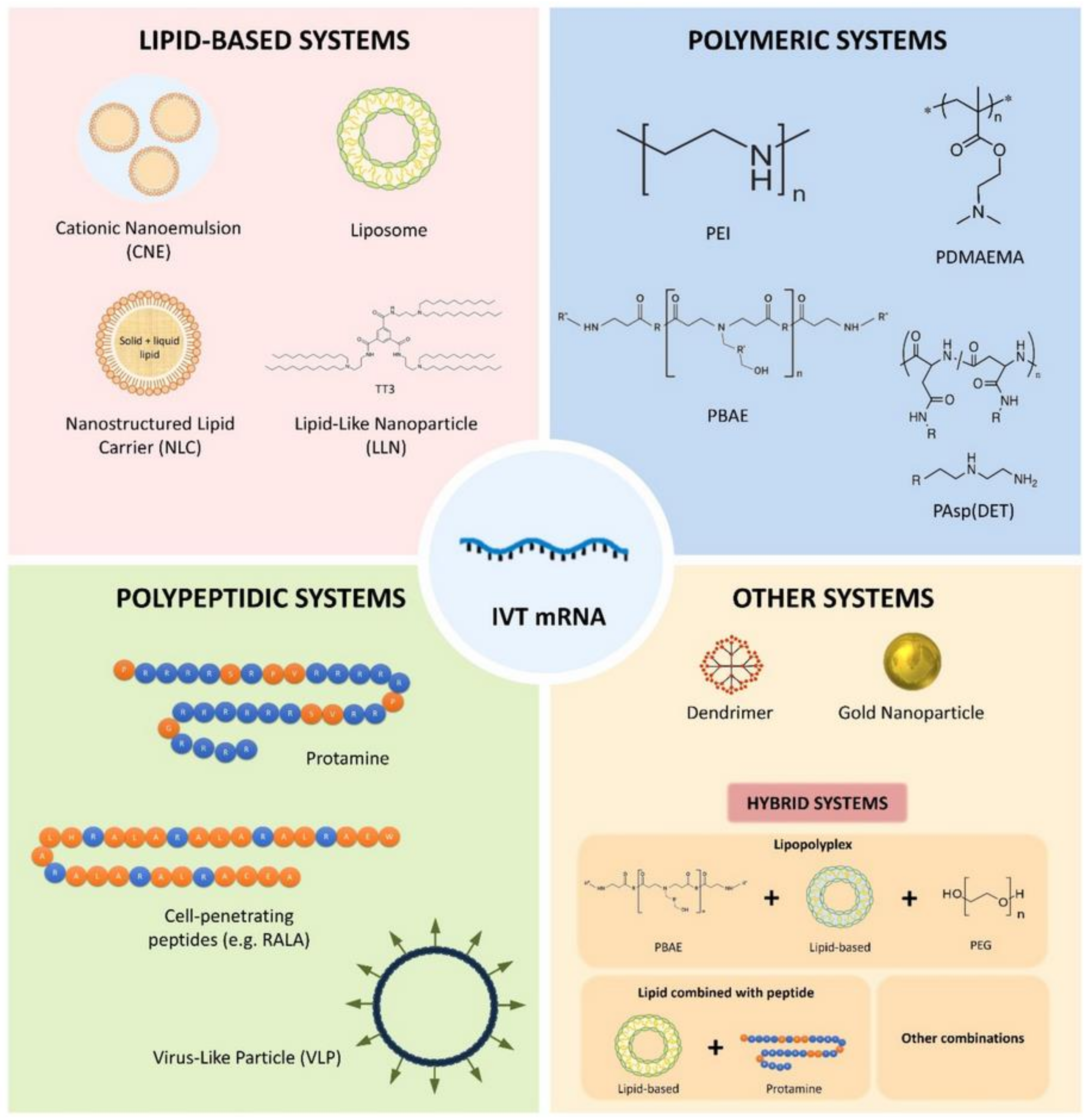 Polymers 13 02833 g004 550