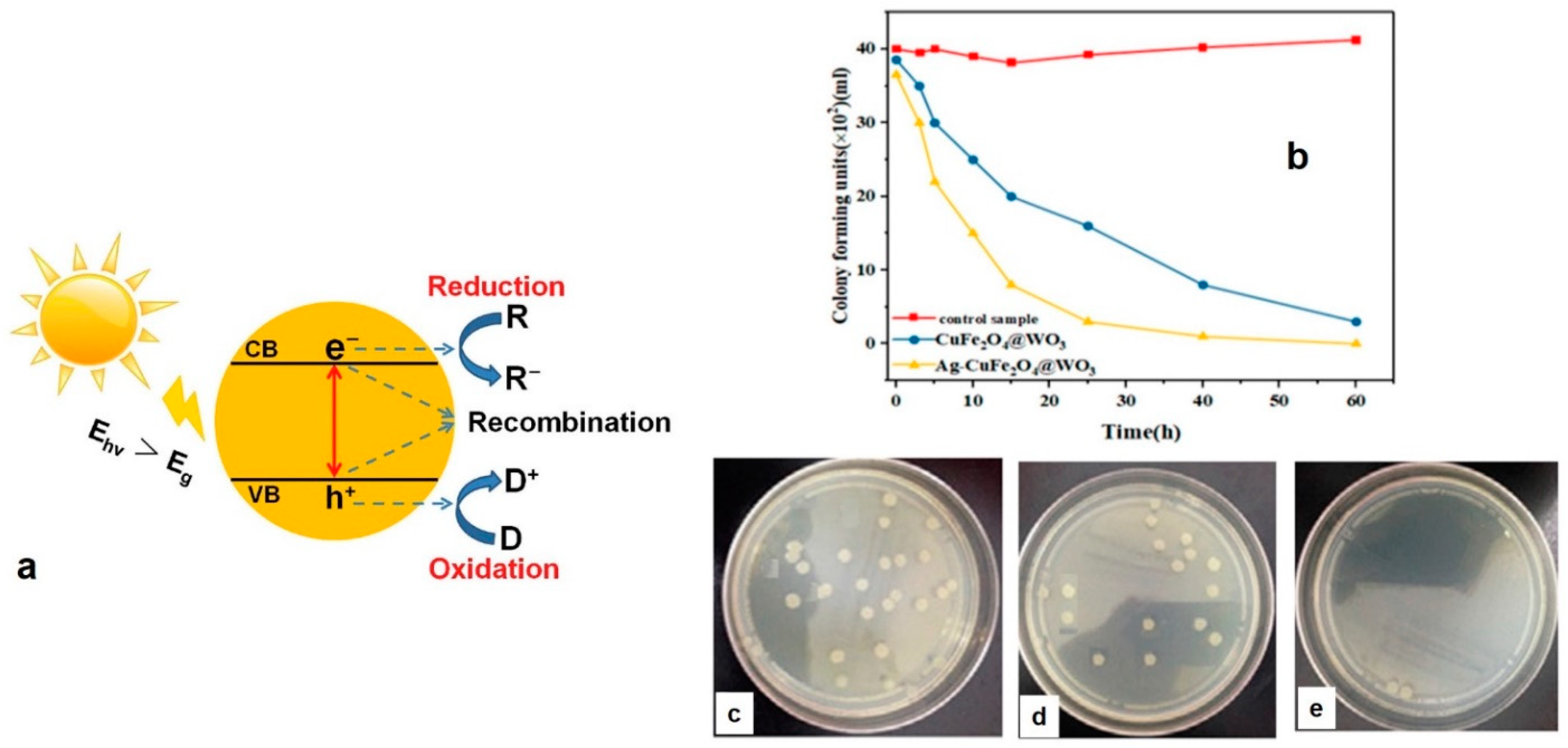 Polymers 13 02833 g005 550
