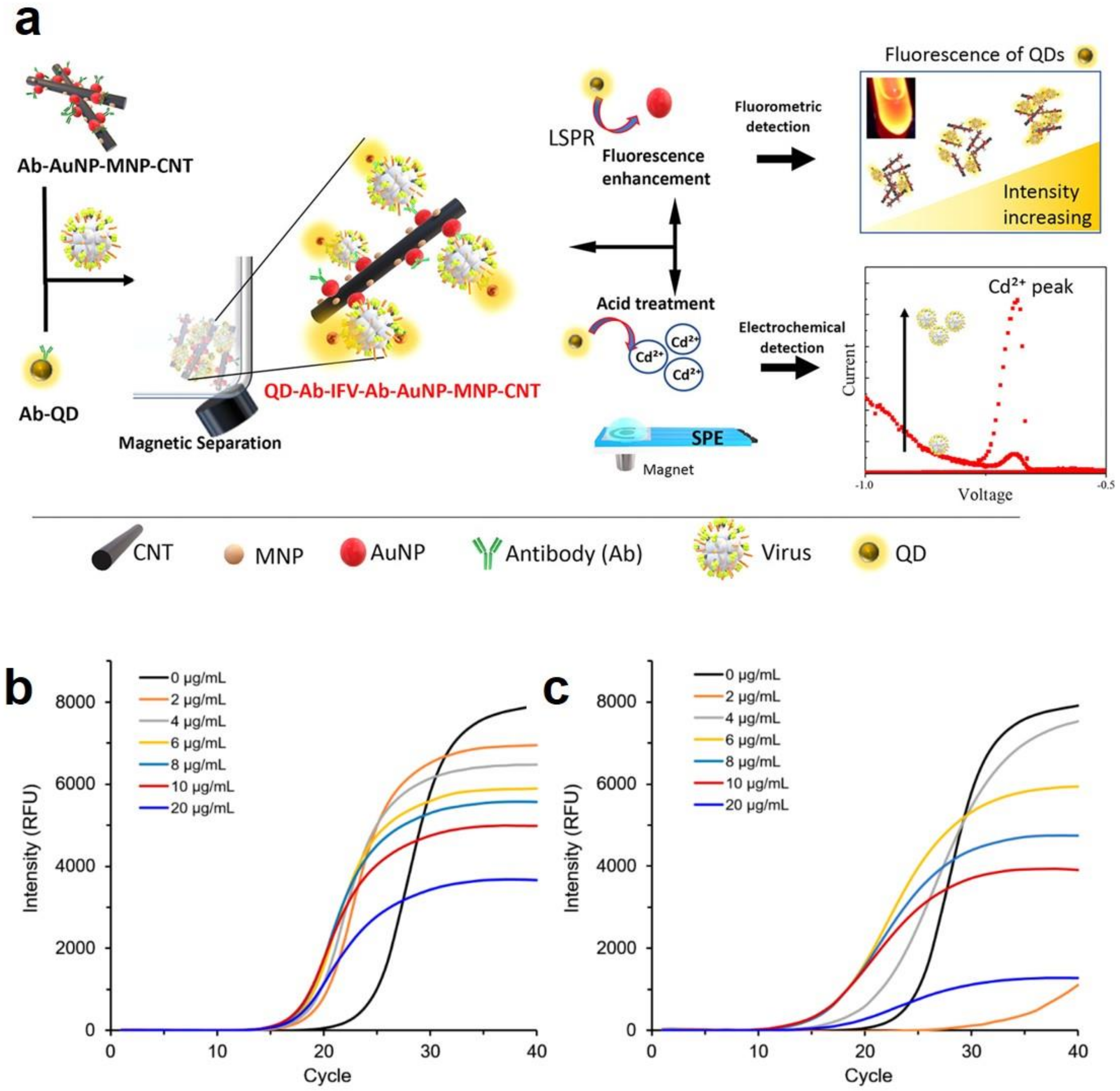 Polymers 13 02833 g006 550