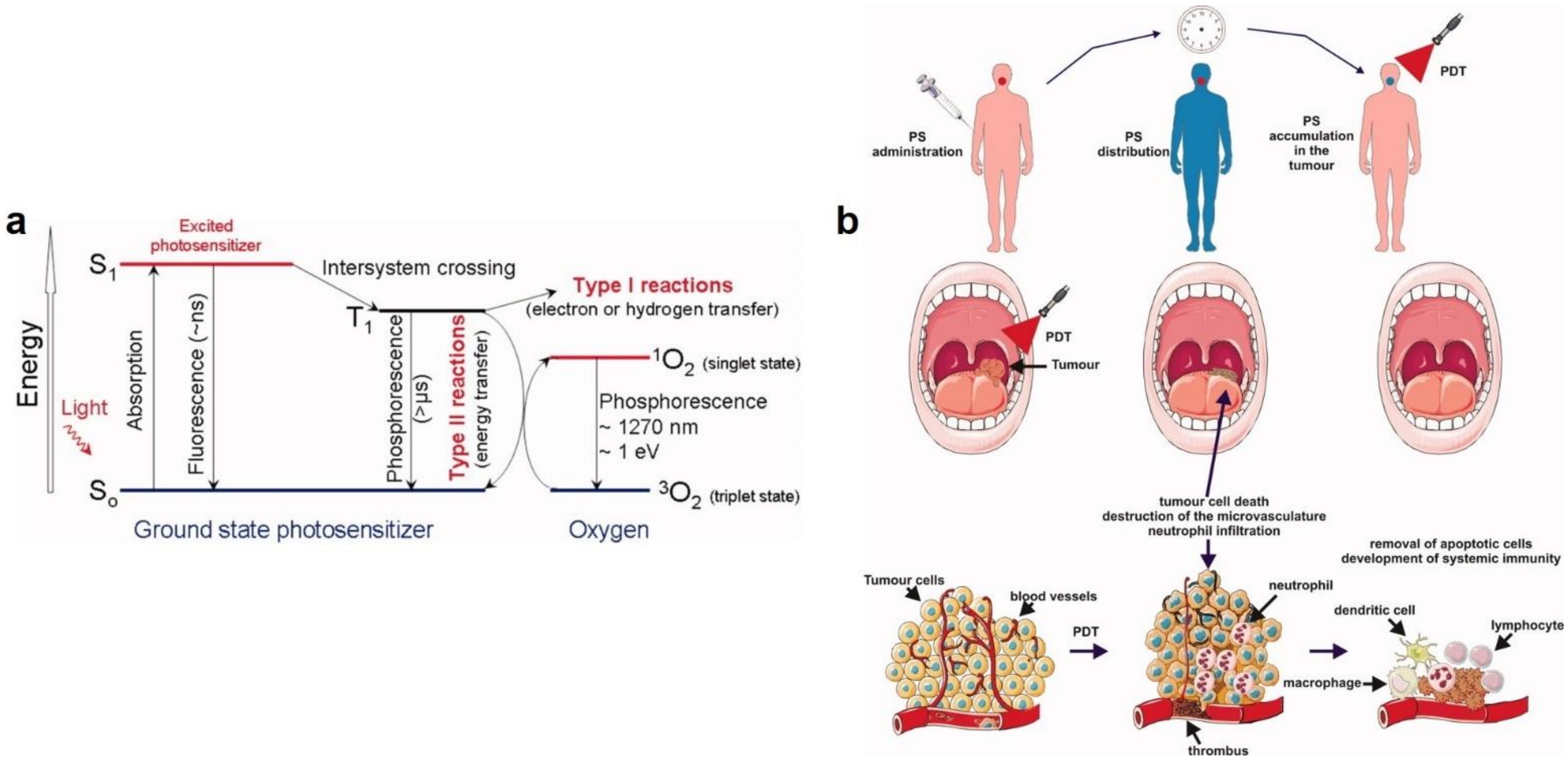 Polymers 13 02833 g007 550