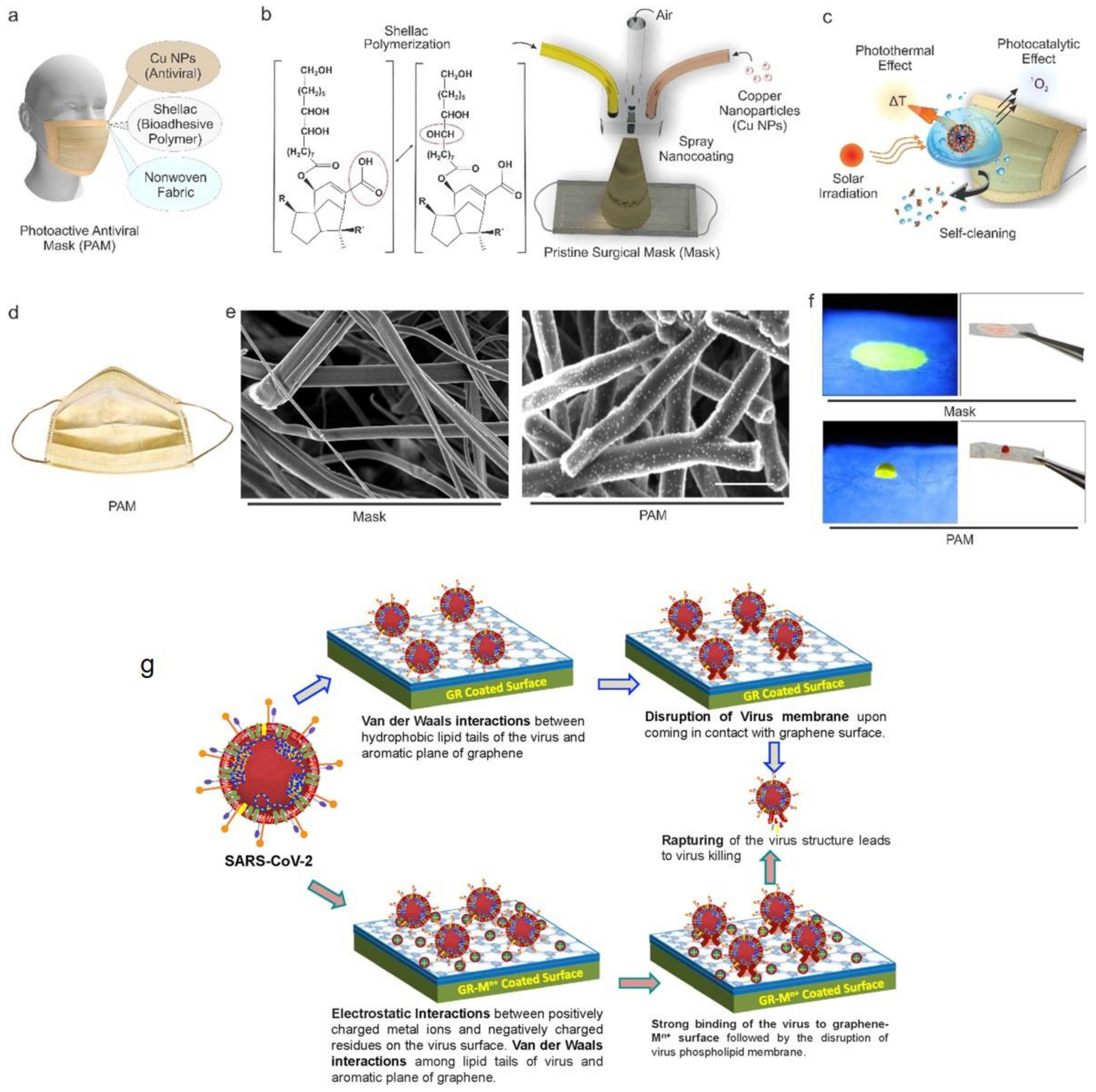 Polymers 13 02833 g009 550
