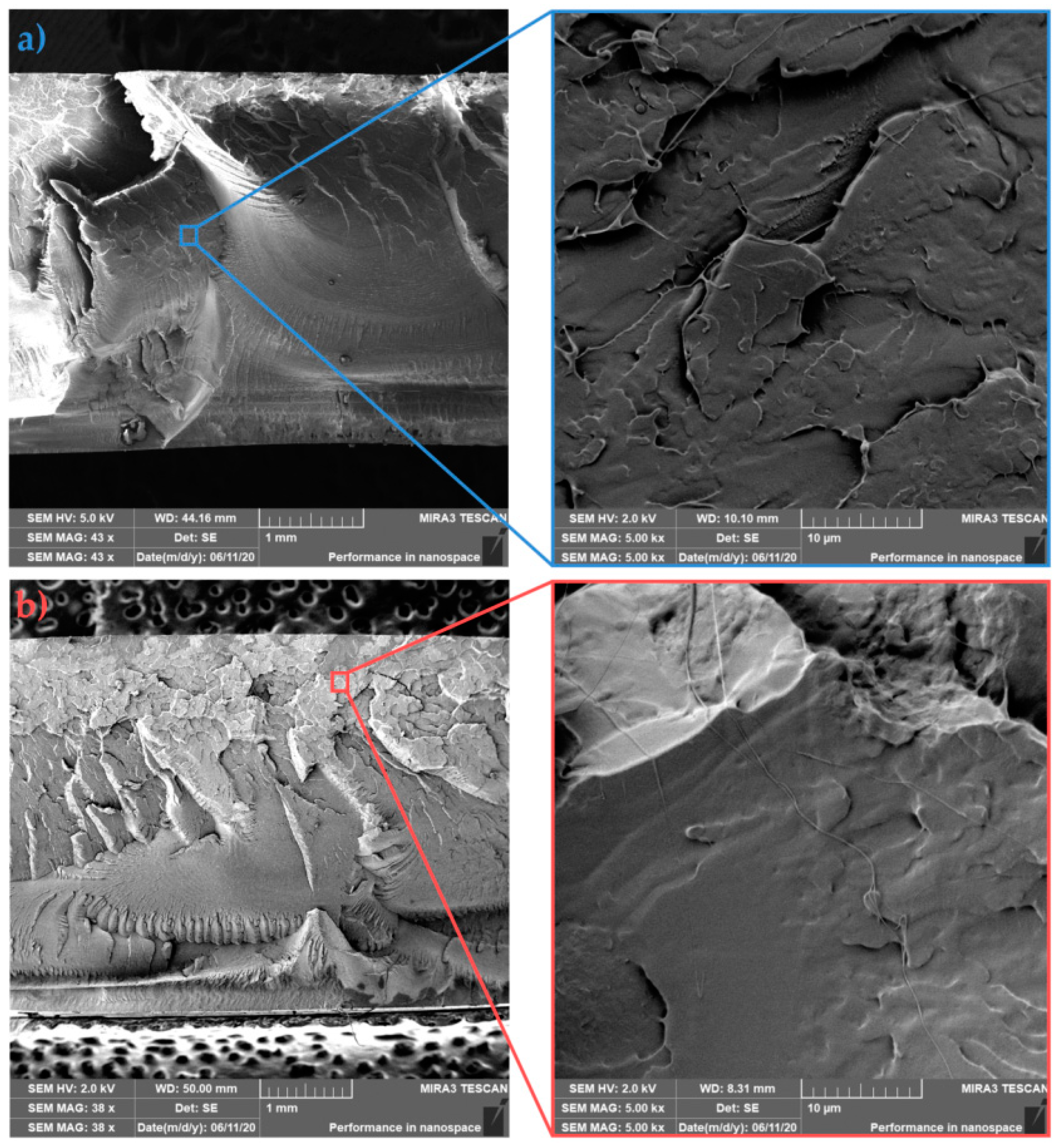 Polymers 13 02835 g009 550