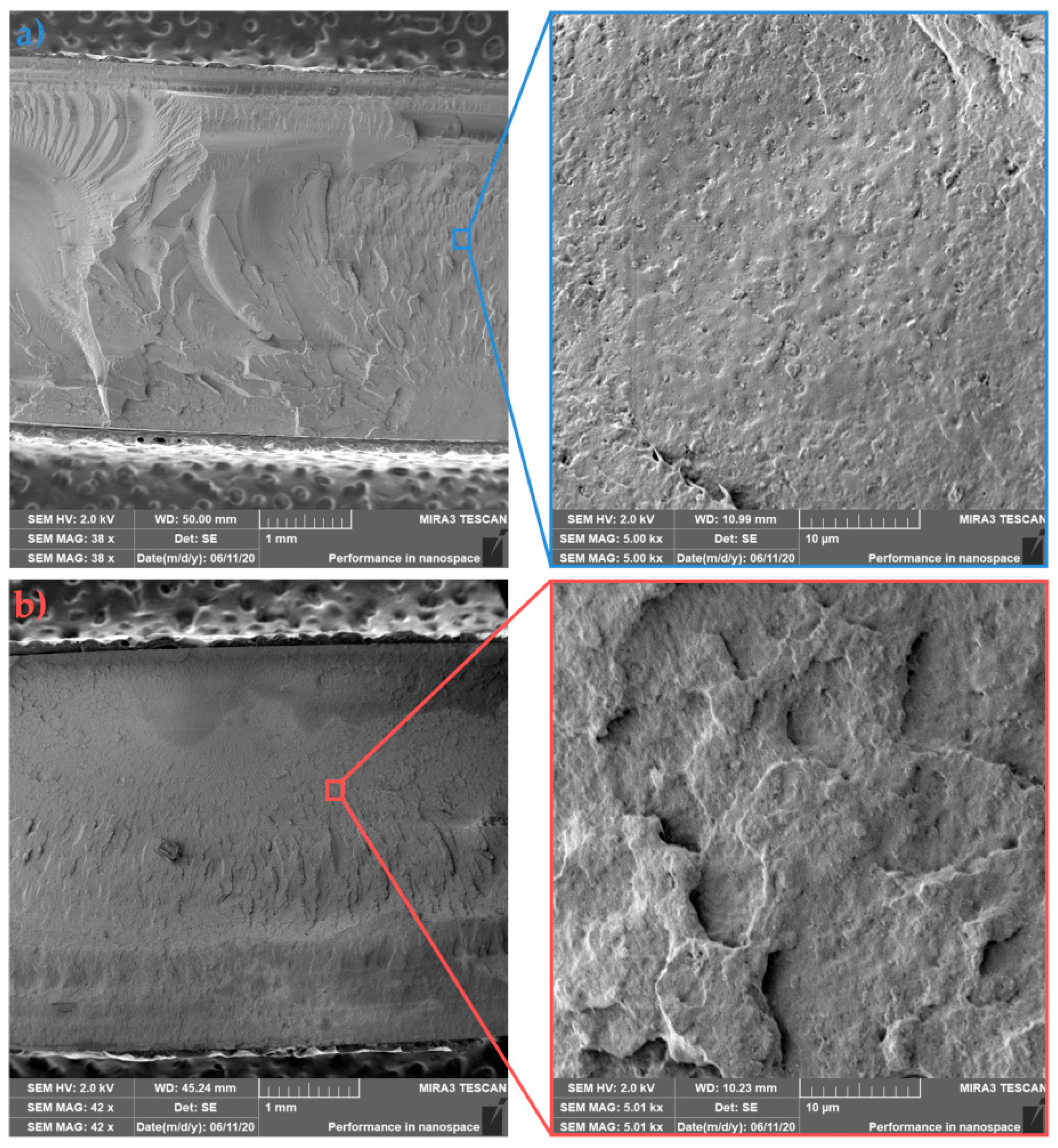 Polymers 13 02835 g012 550