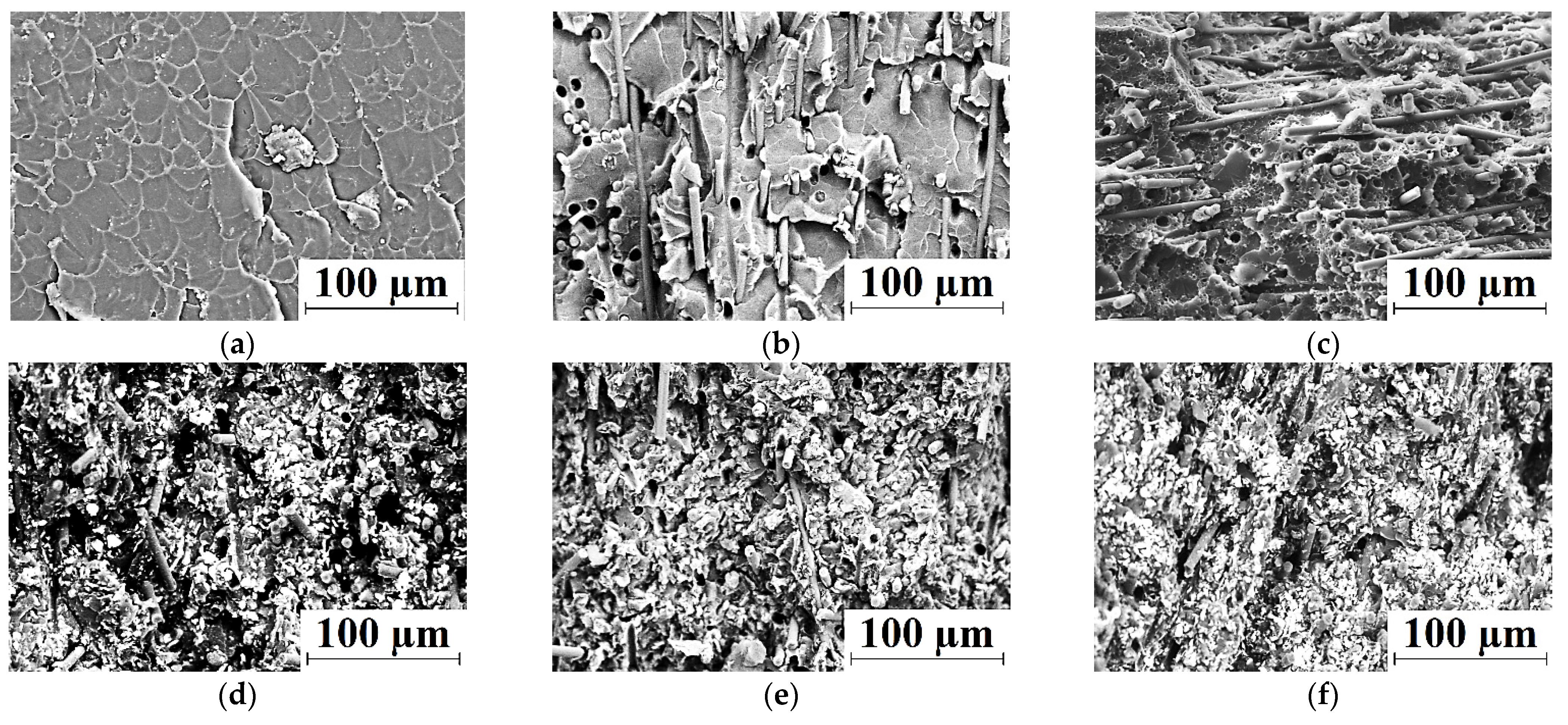 Polymers 13 02837 g003 550
