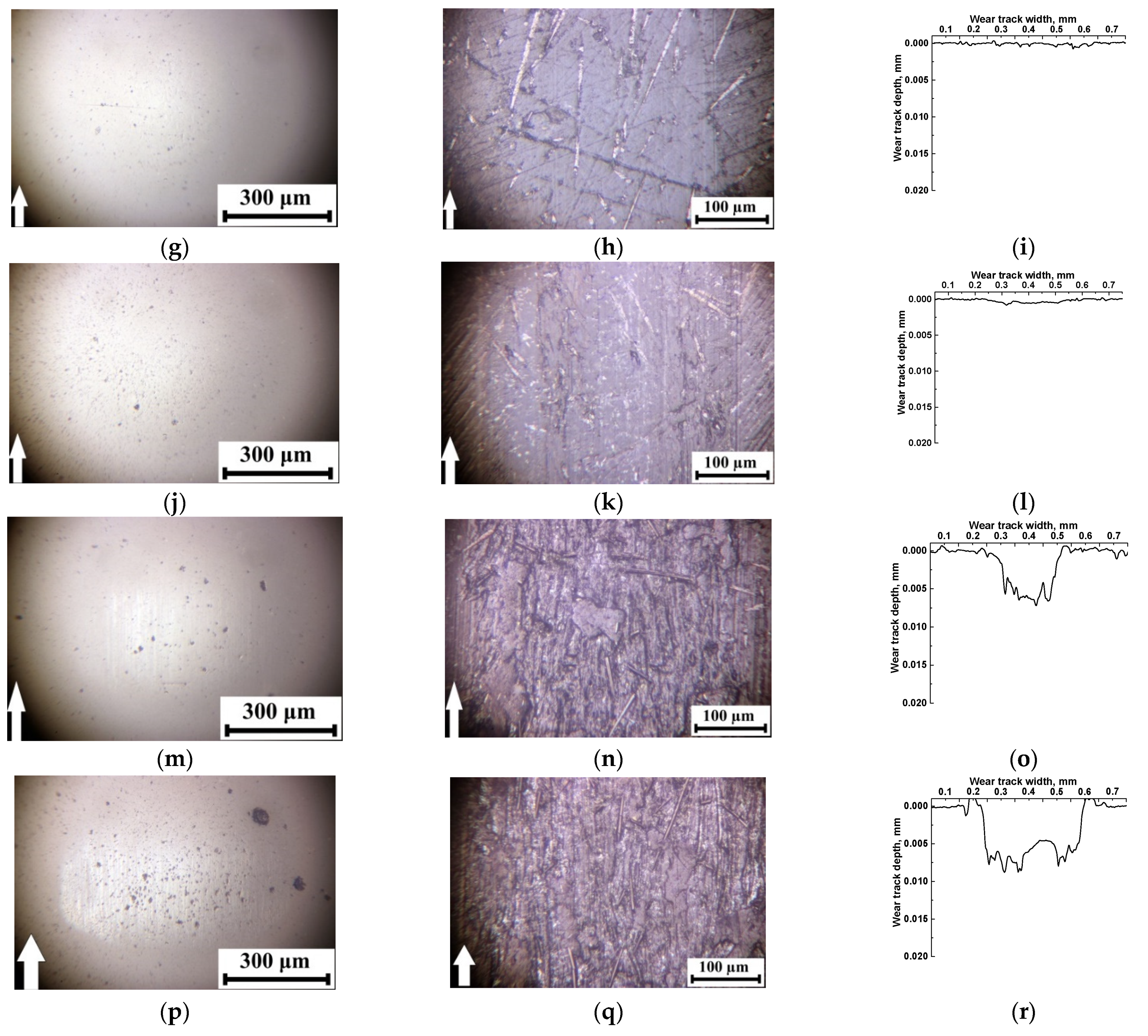 Polymers 13 02837 g007b 550